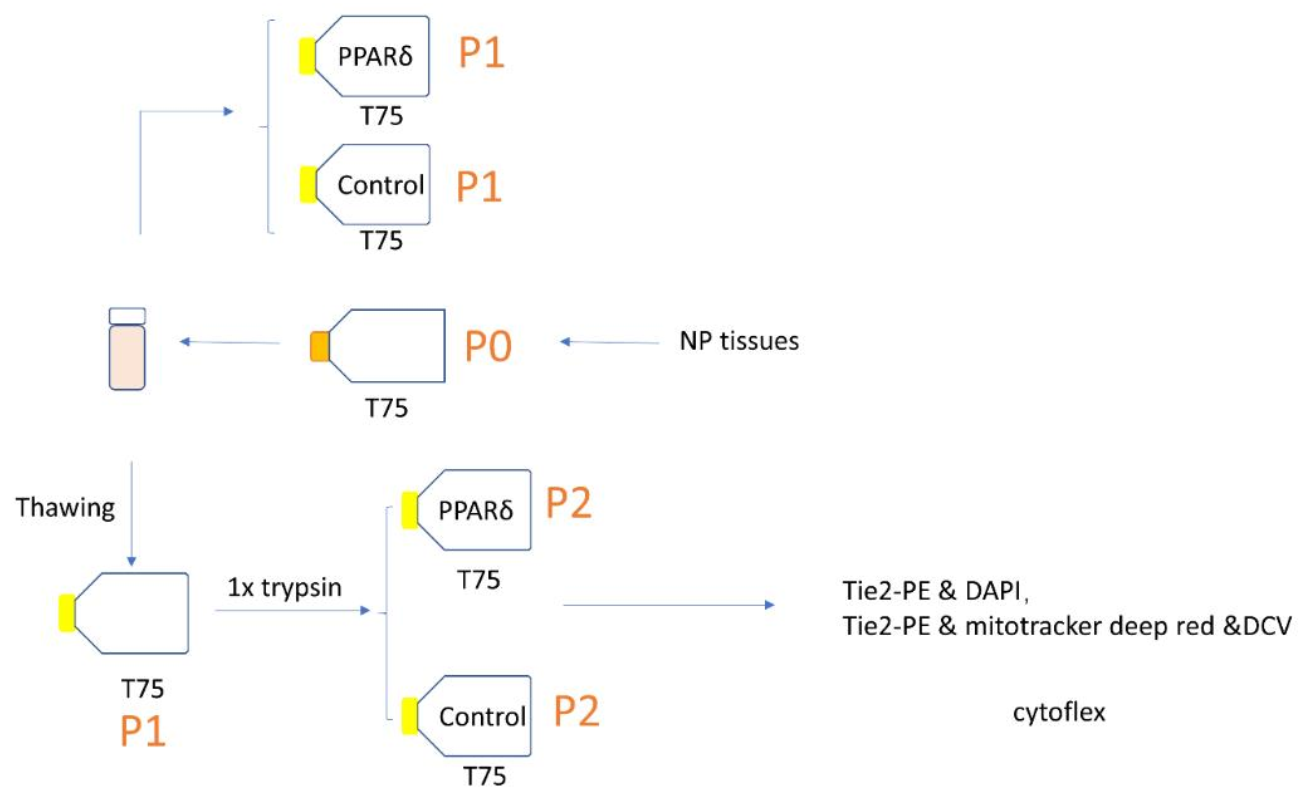 Surgeries 02 00008 g001 Surgeries 02 00008 g001