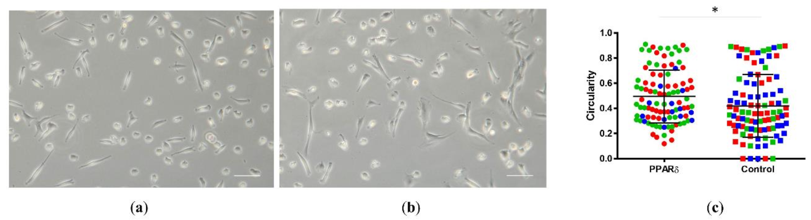 Surgeries 02 00008 g002 Surgeries 02 00008 g002