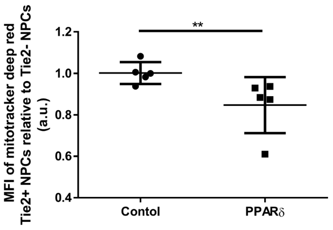 Surgeries 02 00008 g005 Surgeries 02 00008 g005
