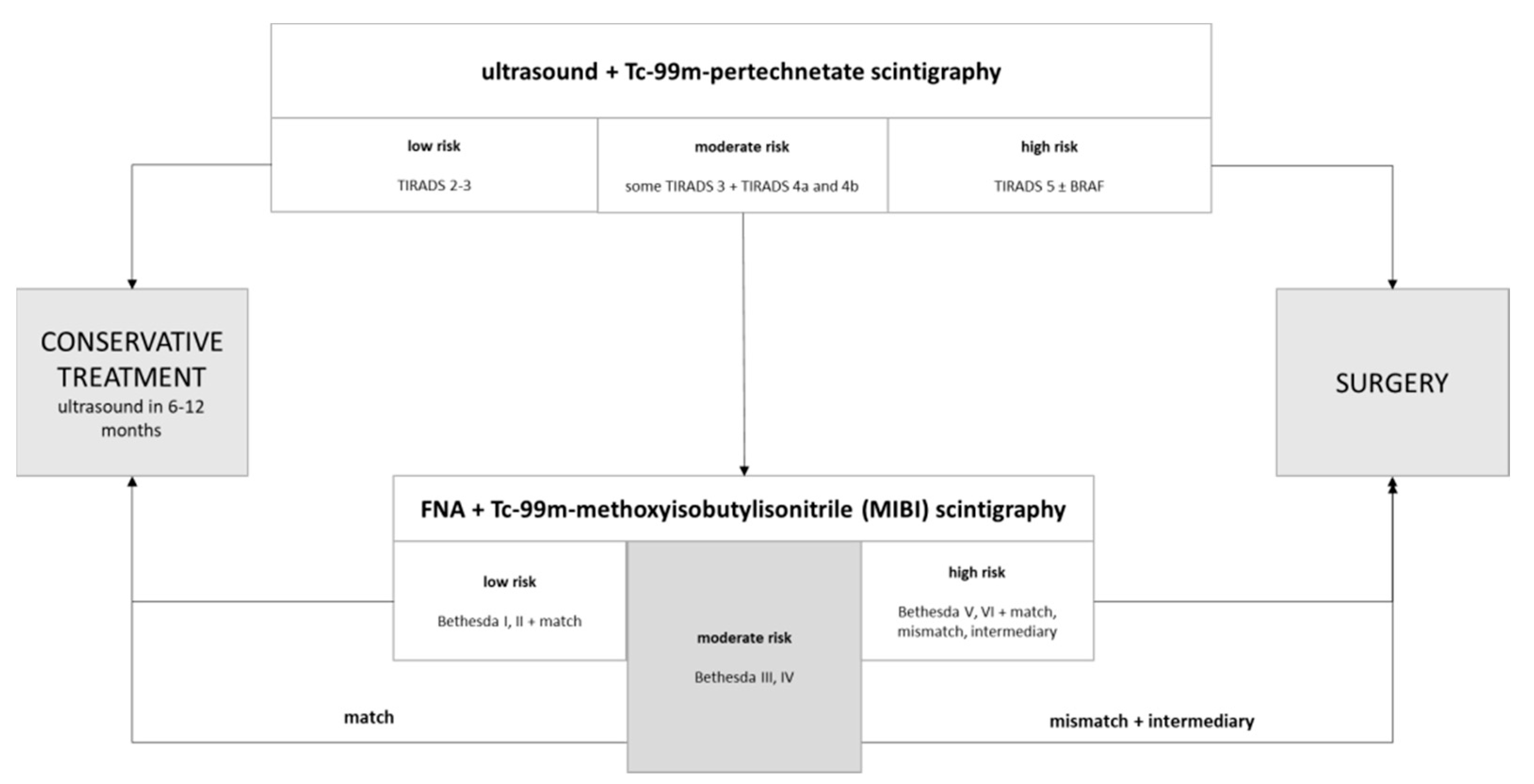 Surgeries 02 00026 g002 550
