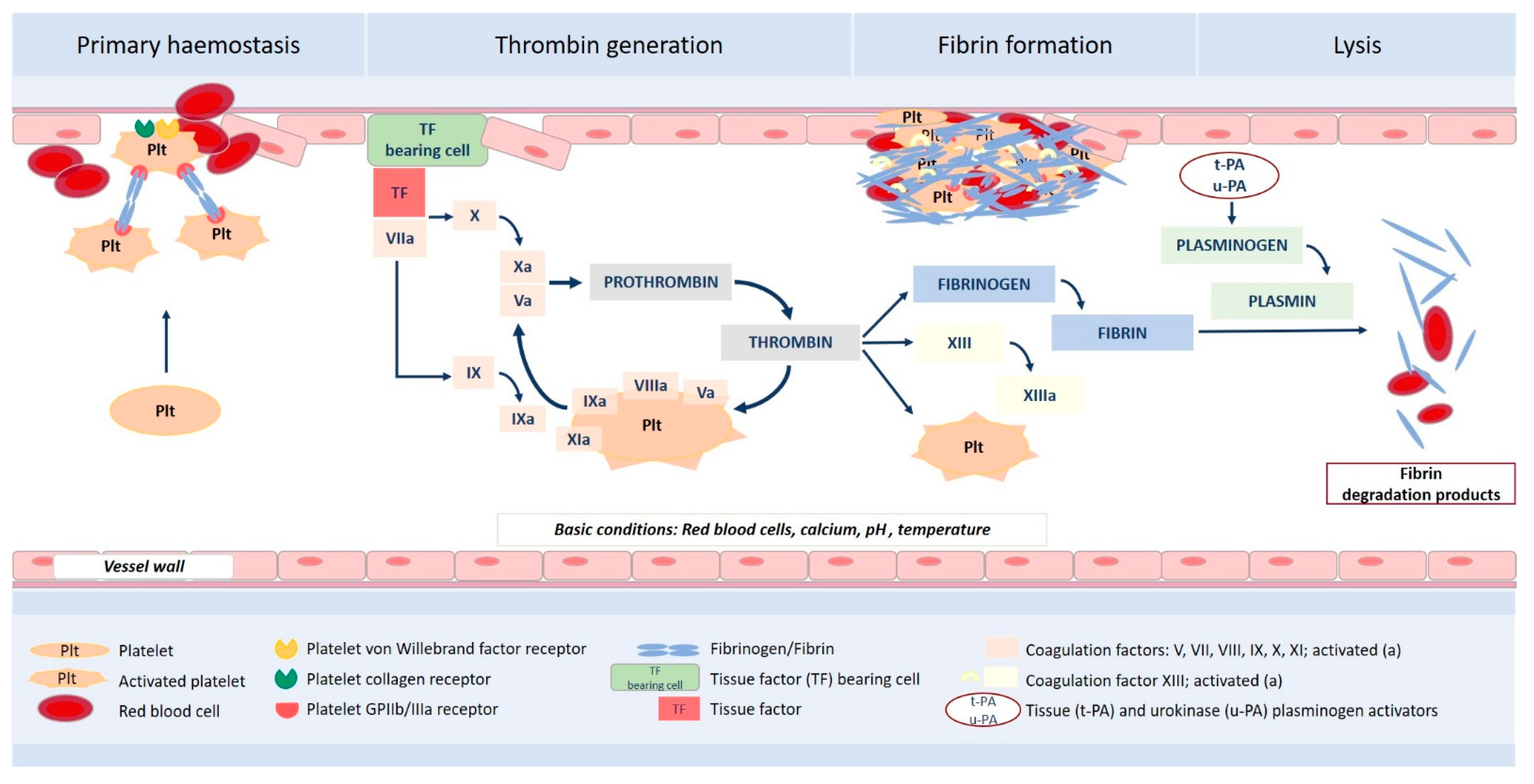 Surgeries 02 00041 g001 Surgeries 02 00041 g001