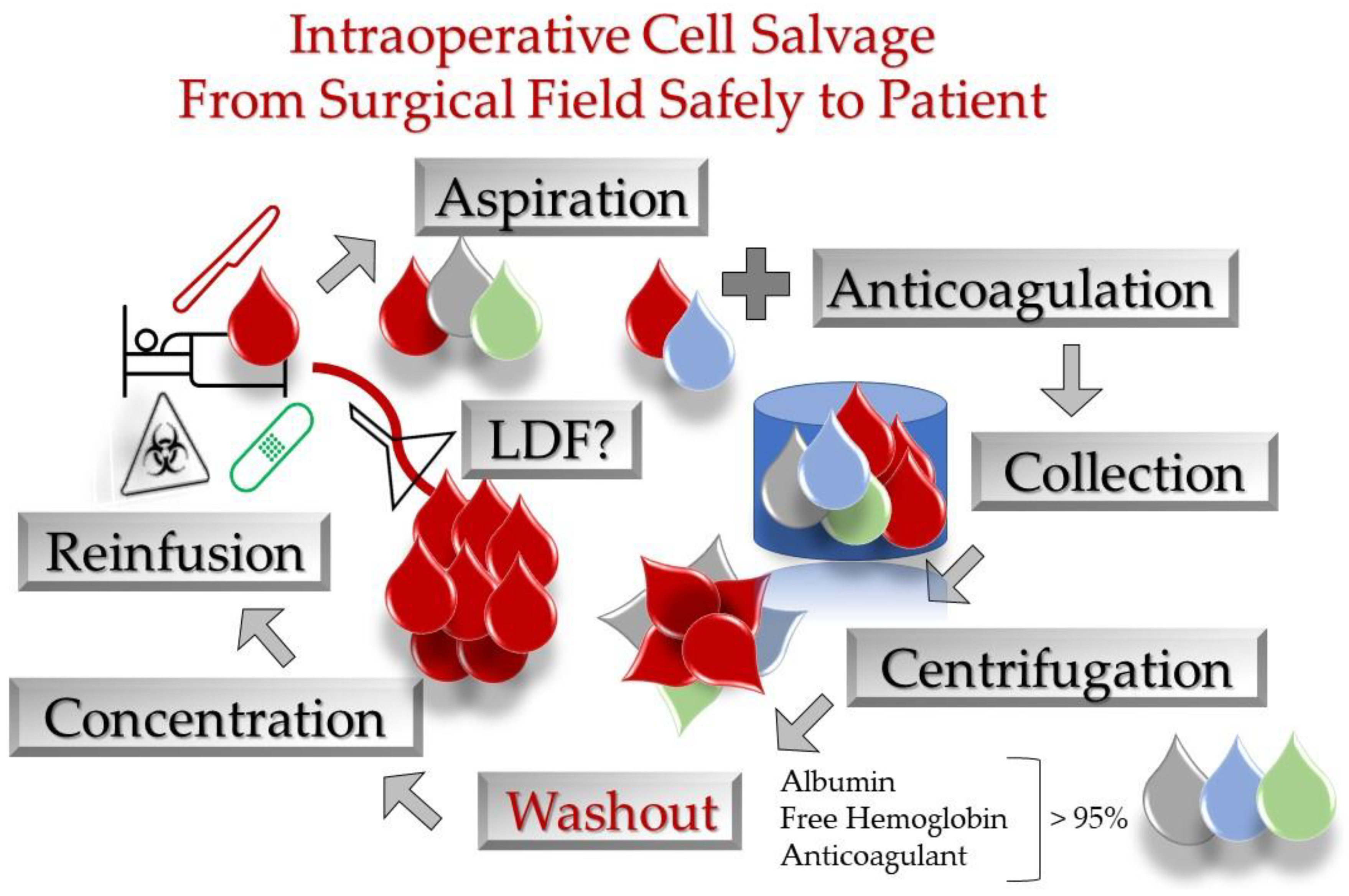 Surgeries 03 00007 g001