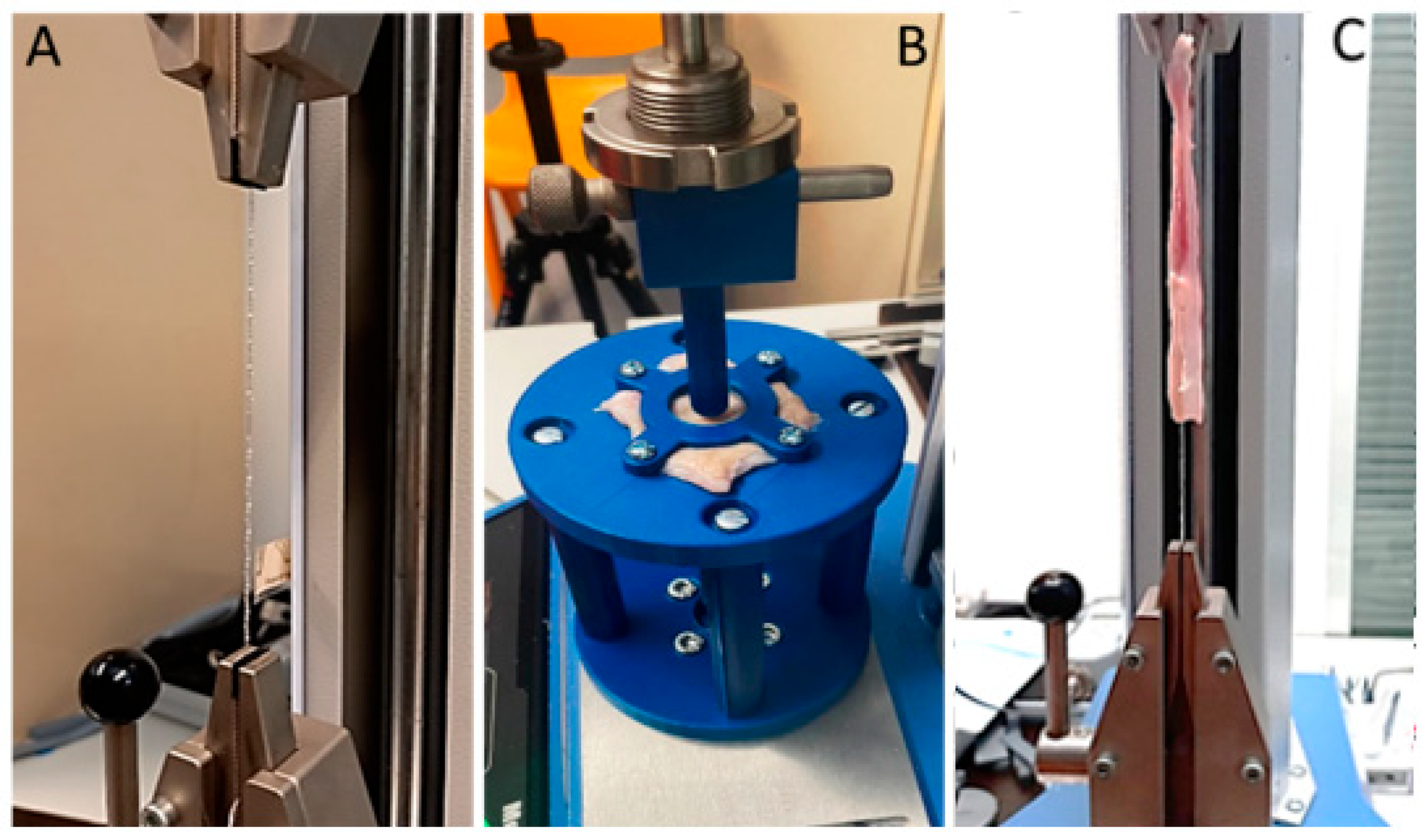 Surgeries 03 00012 g001 550