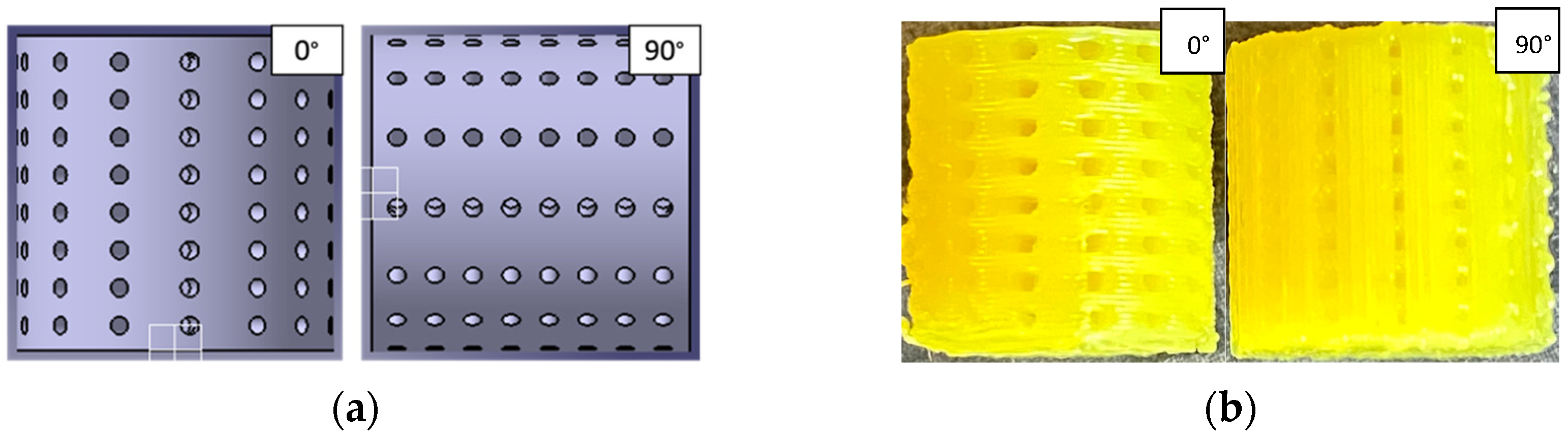 Surgeries 03 00018 g002