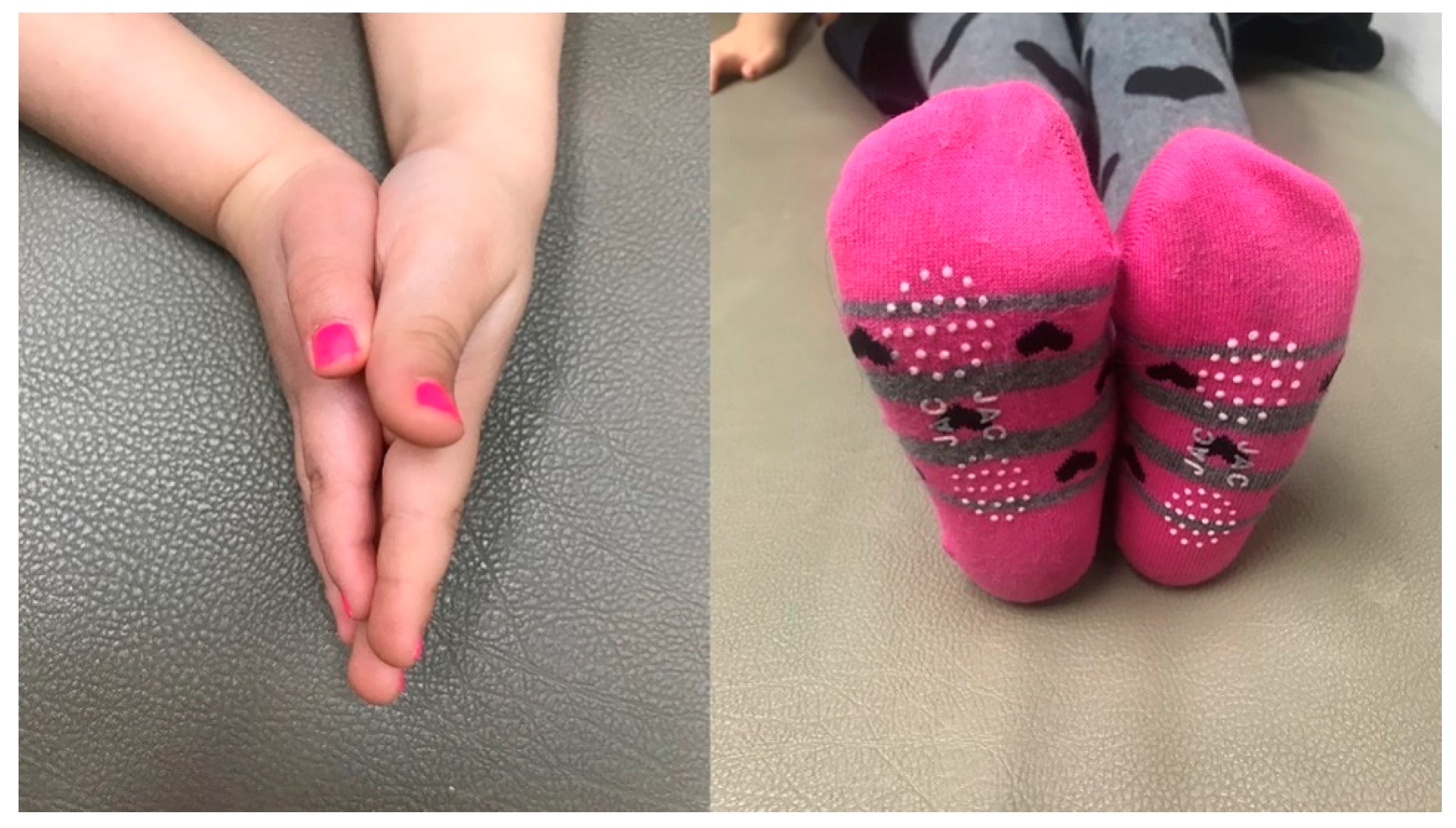 Surgeries 03 00026 g002