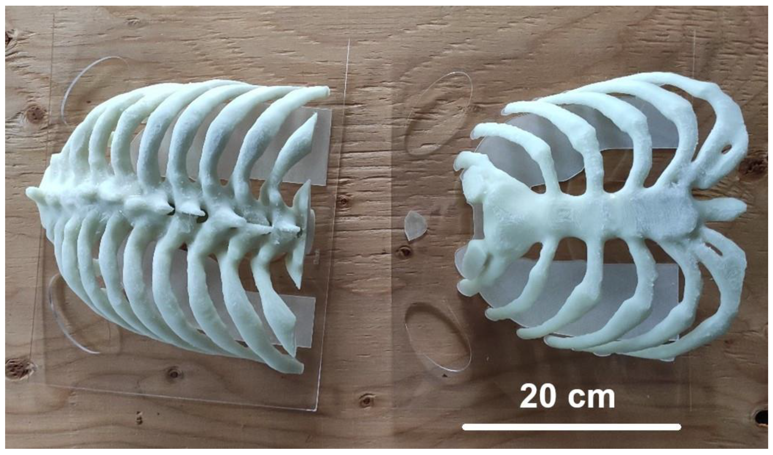 Surgeries 04 00008 g008 Surgeries 04 00008 g008