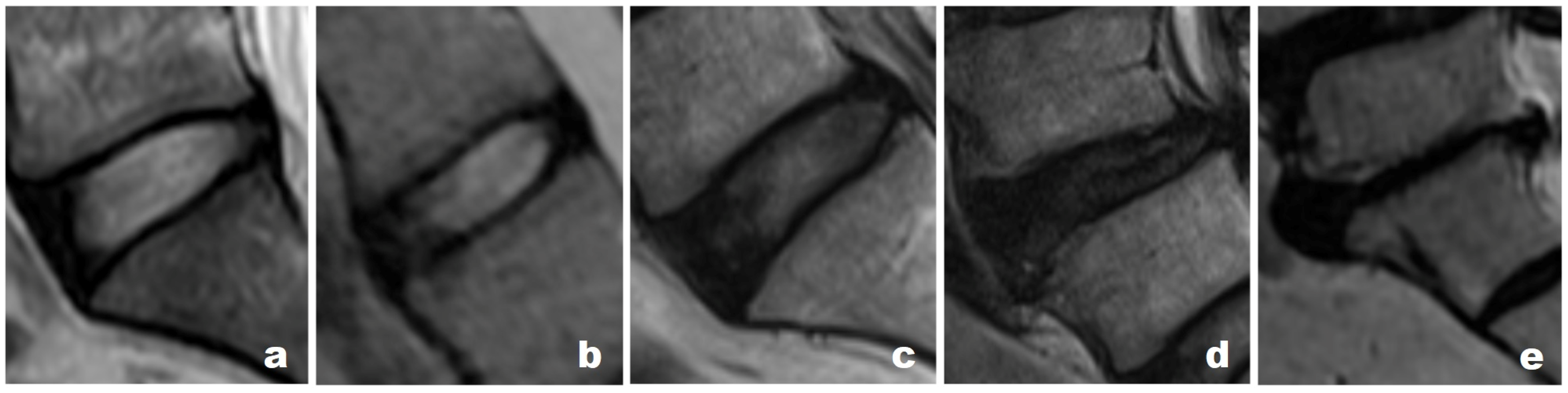 Surgeries 04 00013 g002 Surgeries 04 00013 g002