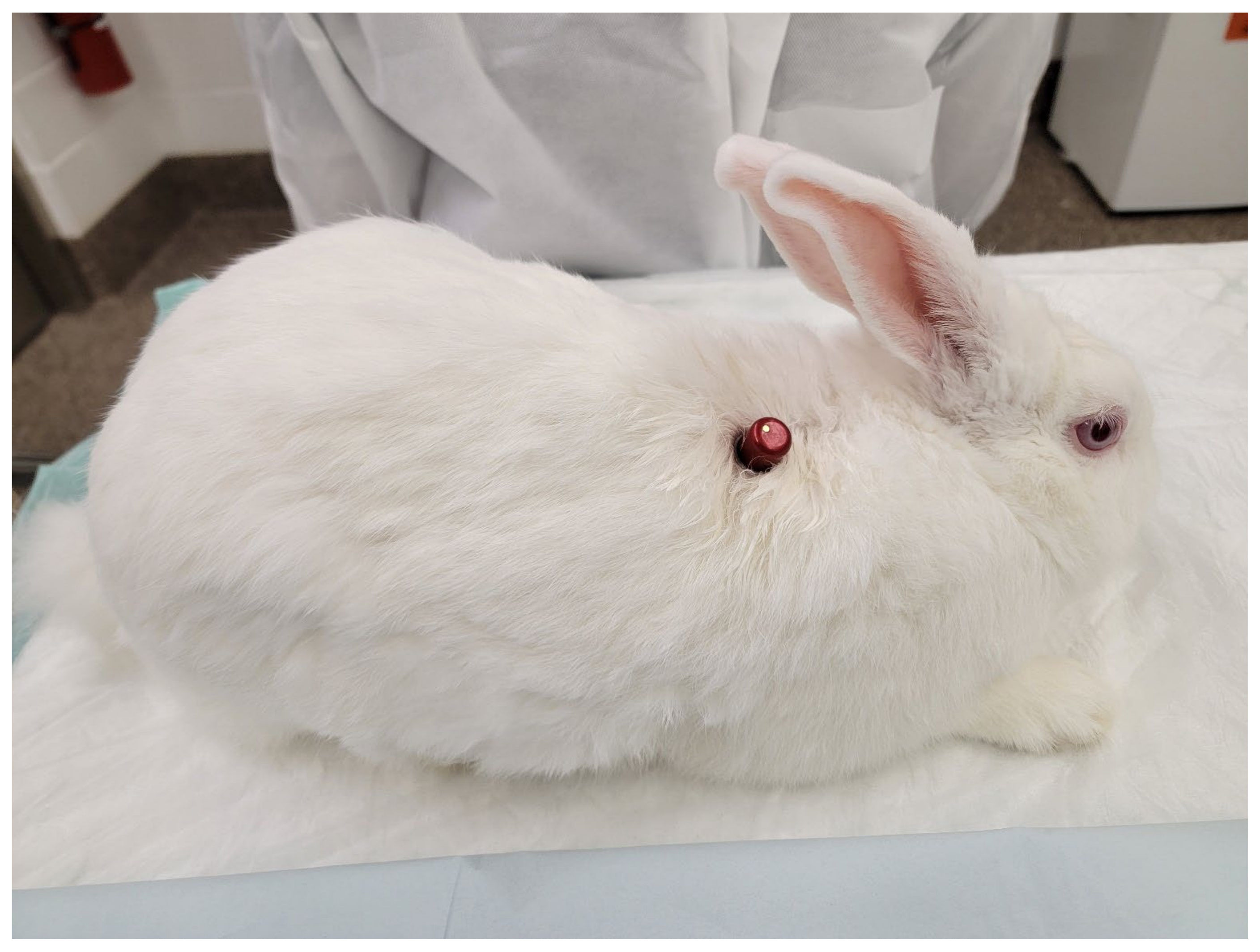 Surgeries 04 00016 g004