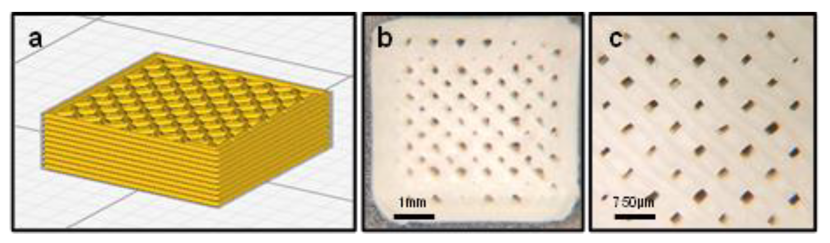 Surgeries 04 00021 g001 Surgeries 04 00021 g001