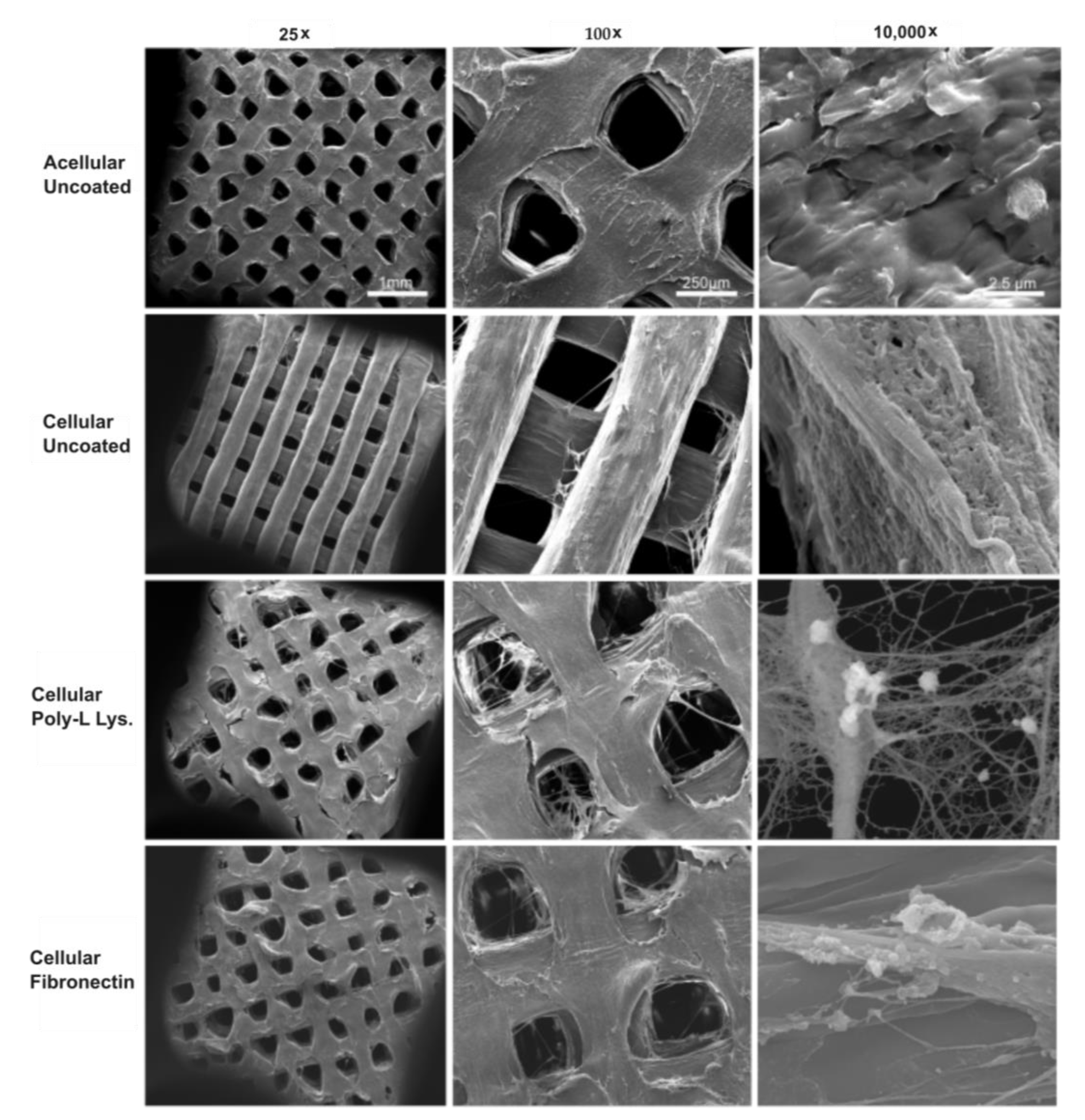 Surgeries 04 00021 g003 Surgeries 04 00021 g003