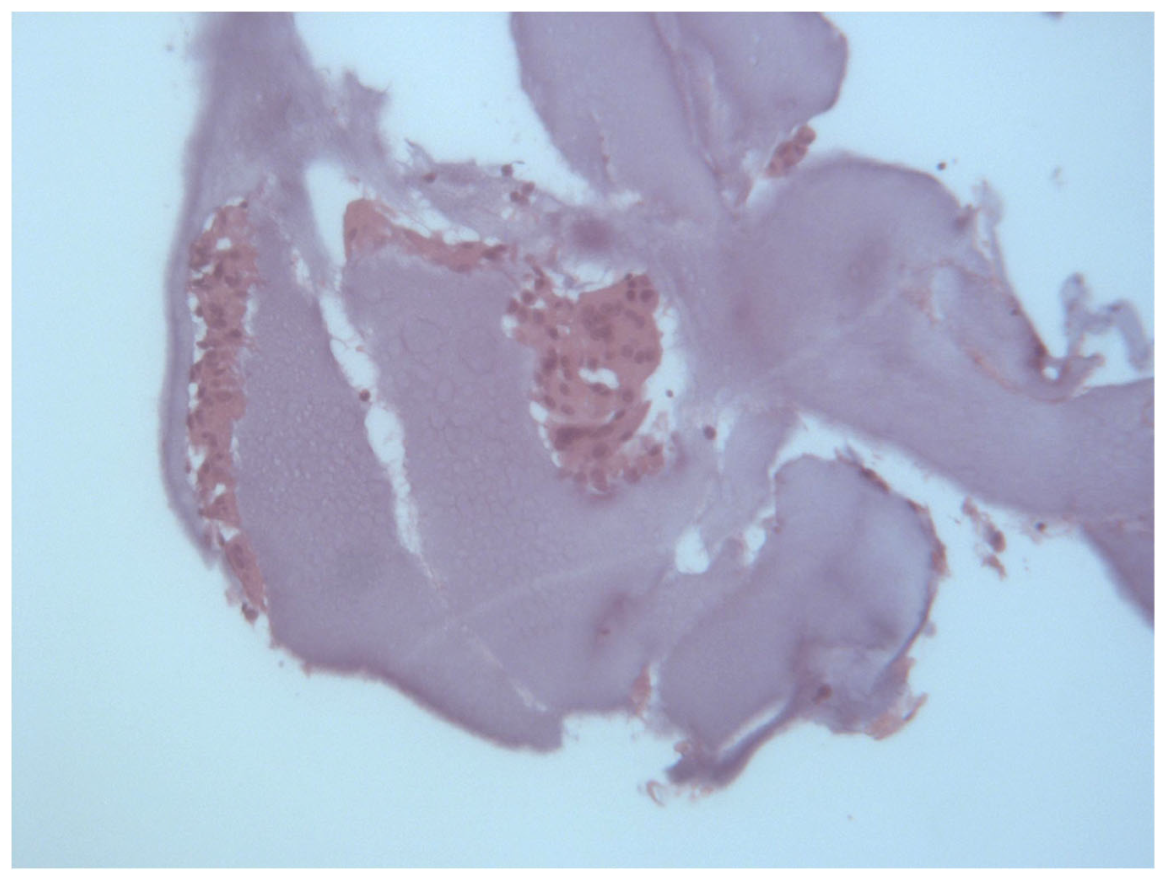 Surgeries 04 00023 g004 Surgeries 04 00023 g004