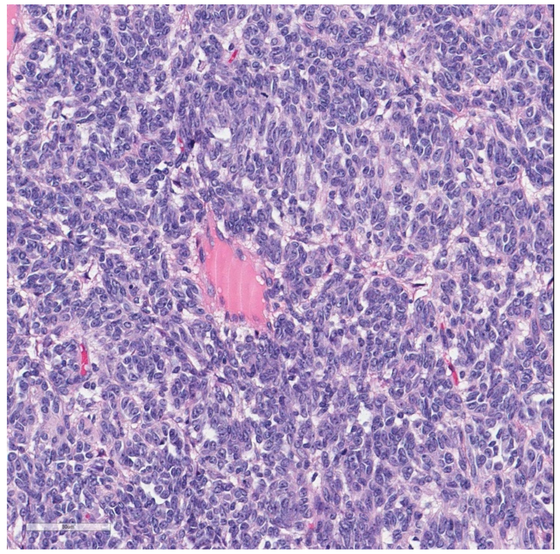 Surgeries 04 00024 g006