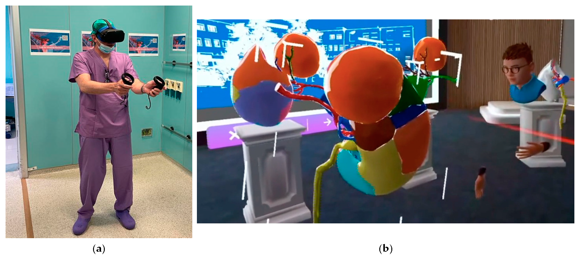 Surgeries 04 00033 g001 Surgeries 04 00033 g001