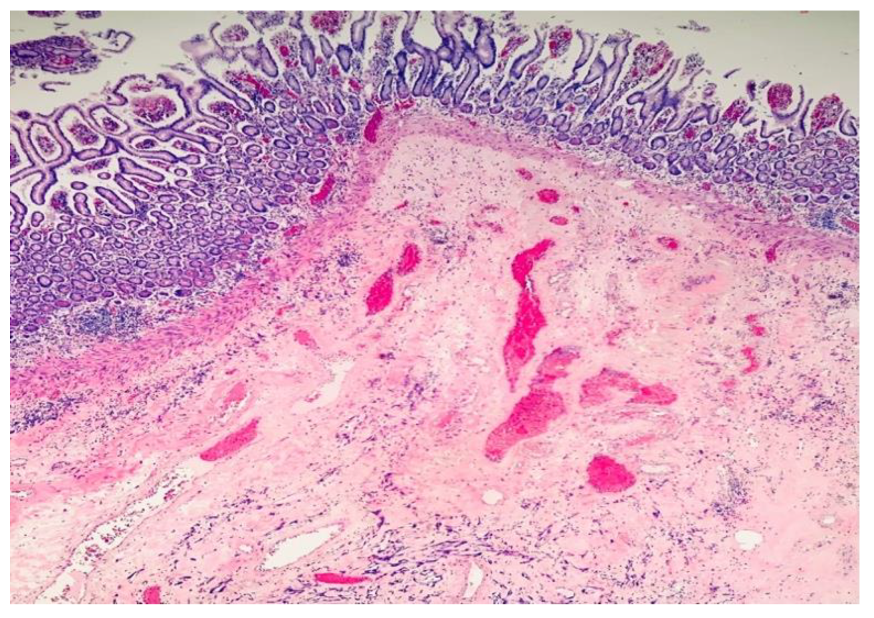 Surgeries 04 00038 g003