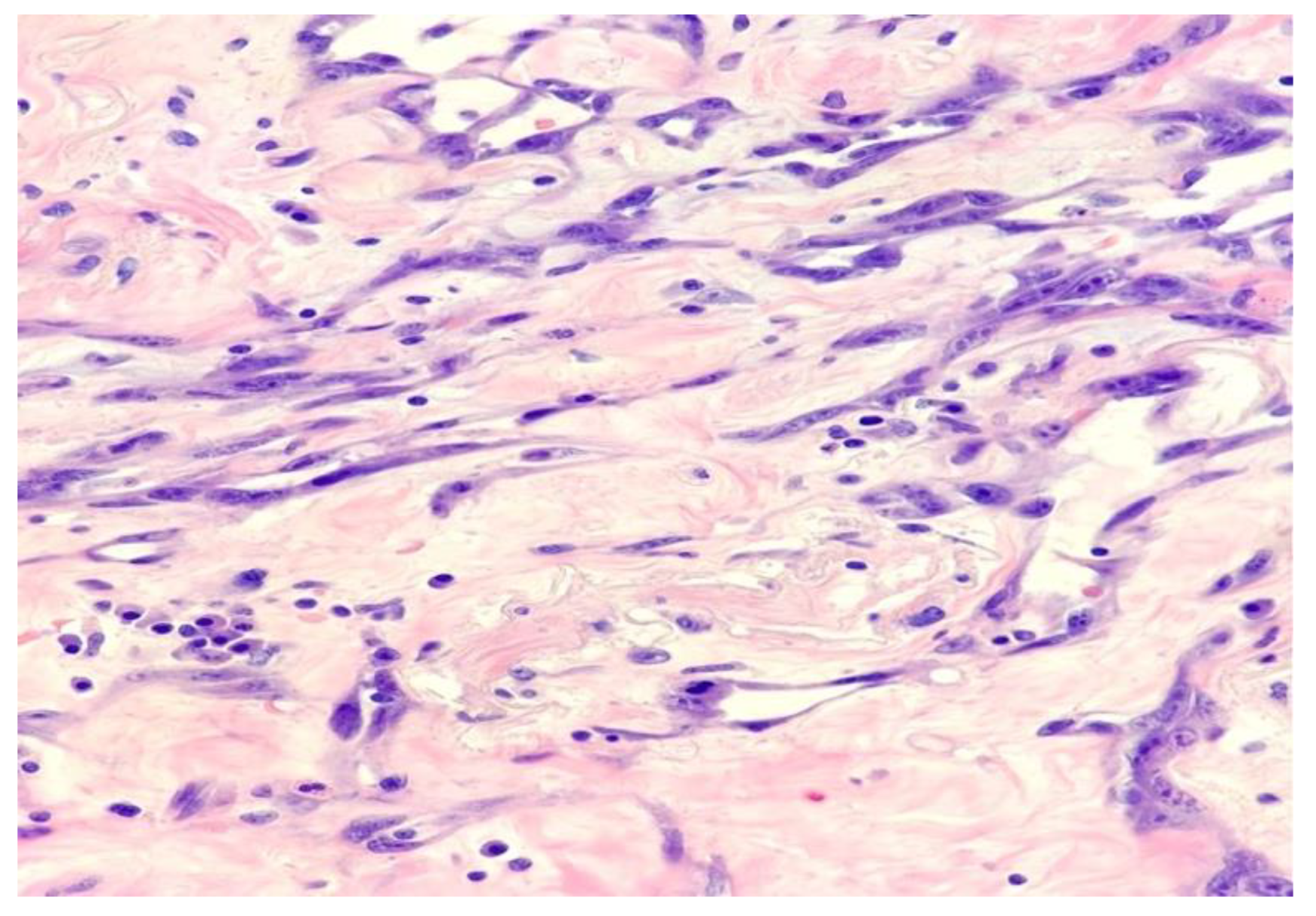 Surgeries 04 00038 g004