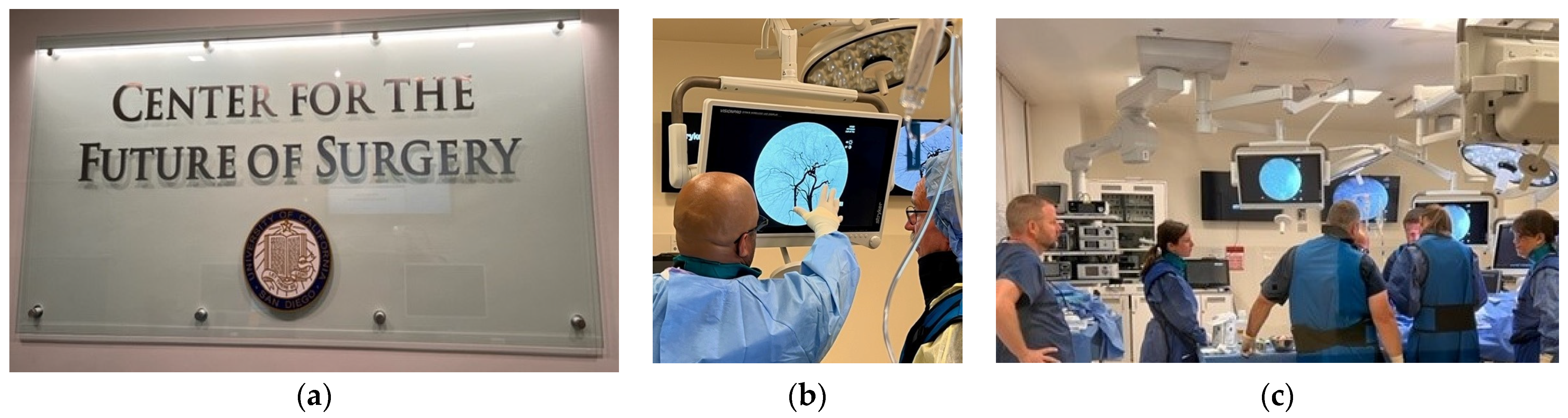 Surgeries 04 00040 g002 550