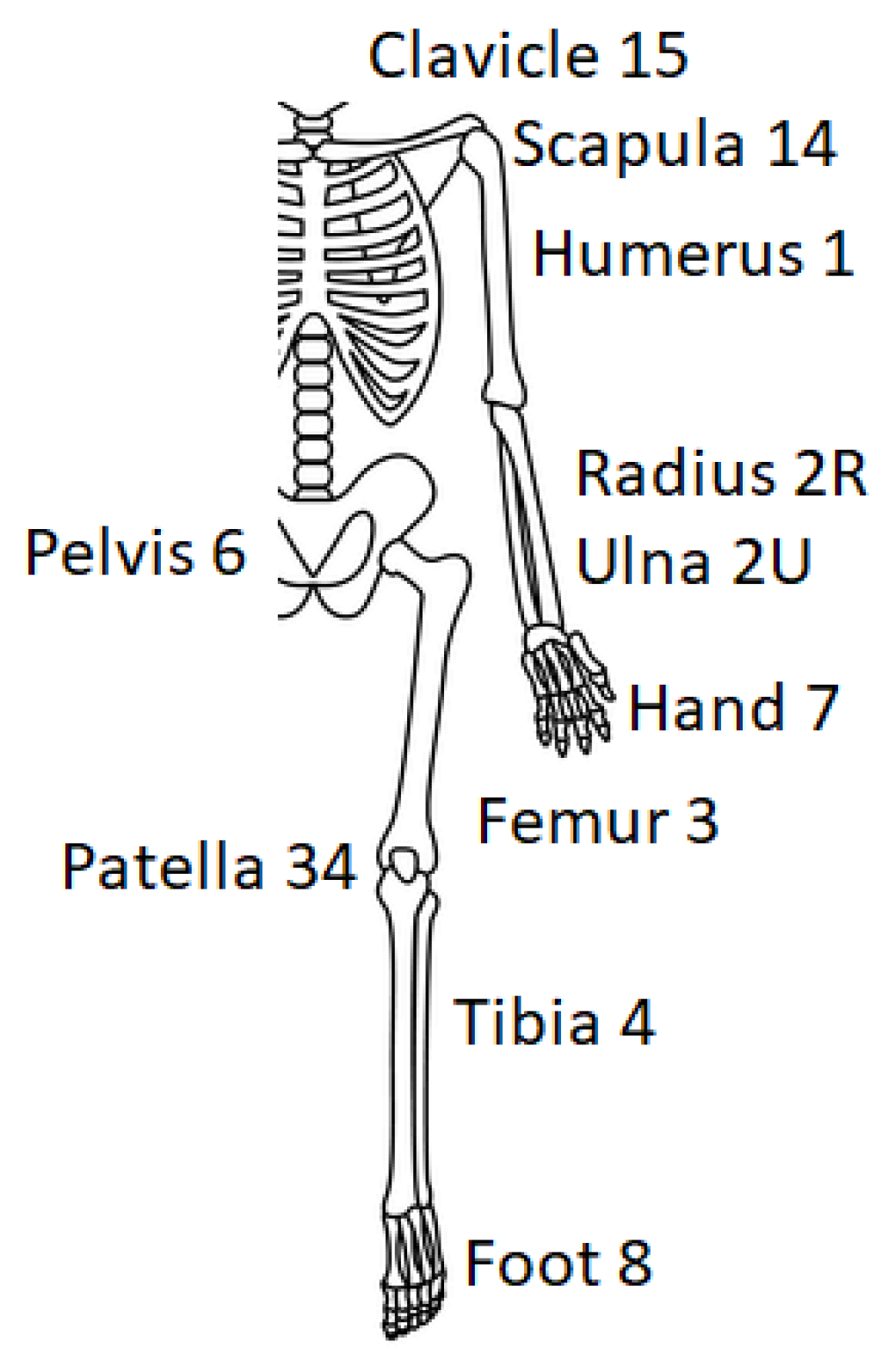 Surgeries 04 00052 g001