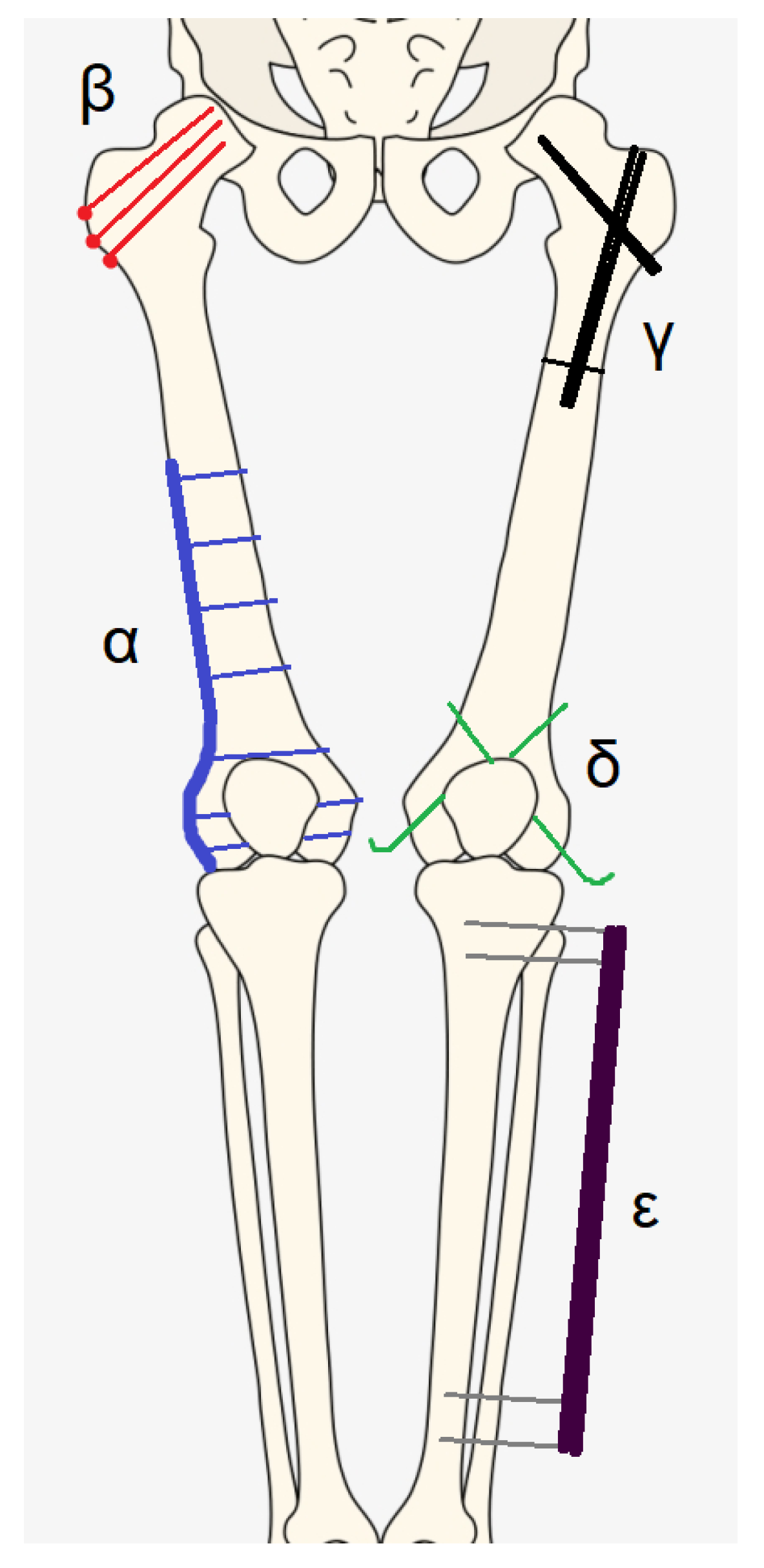 Surgeries 04 00052 g002