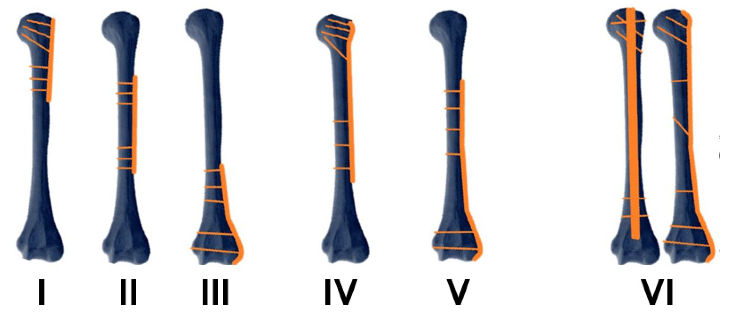 Surgeries 04 00052 g003