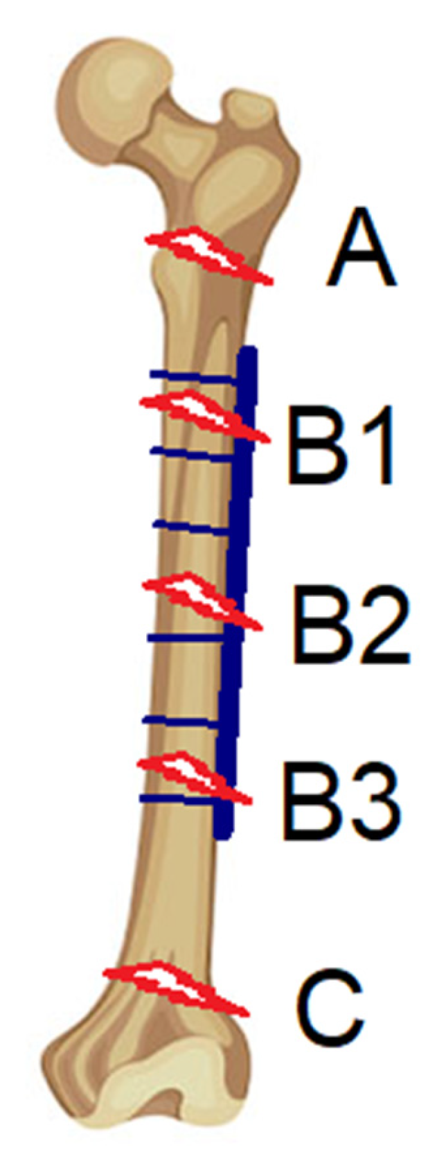 Surgeries 04 00052 g004