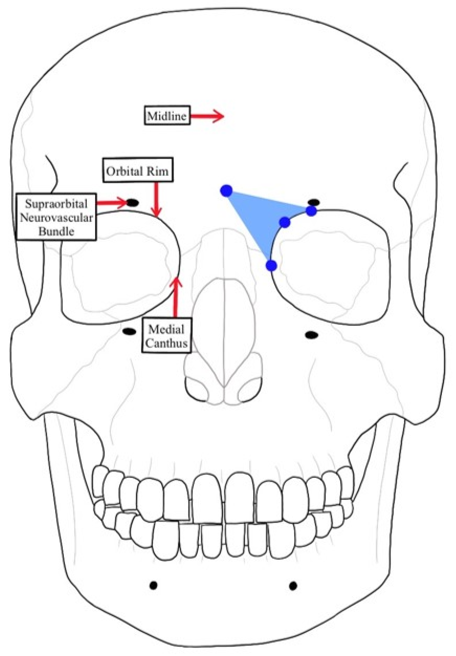 Surgeries 05 00004 g004