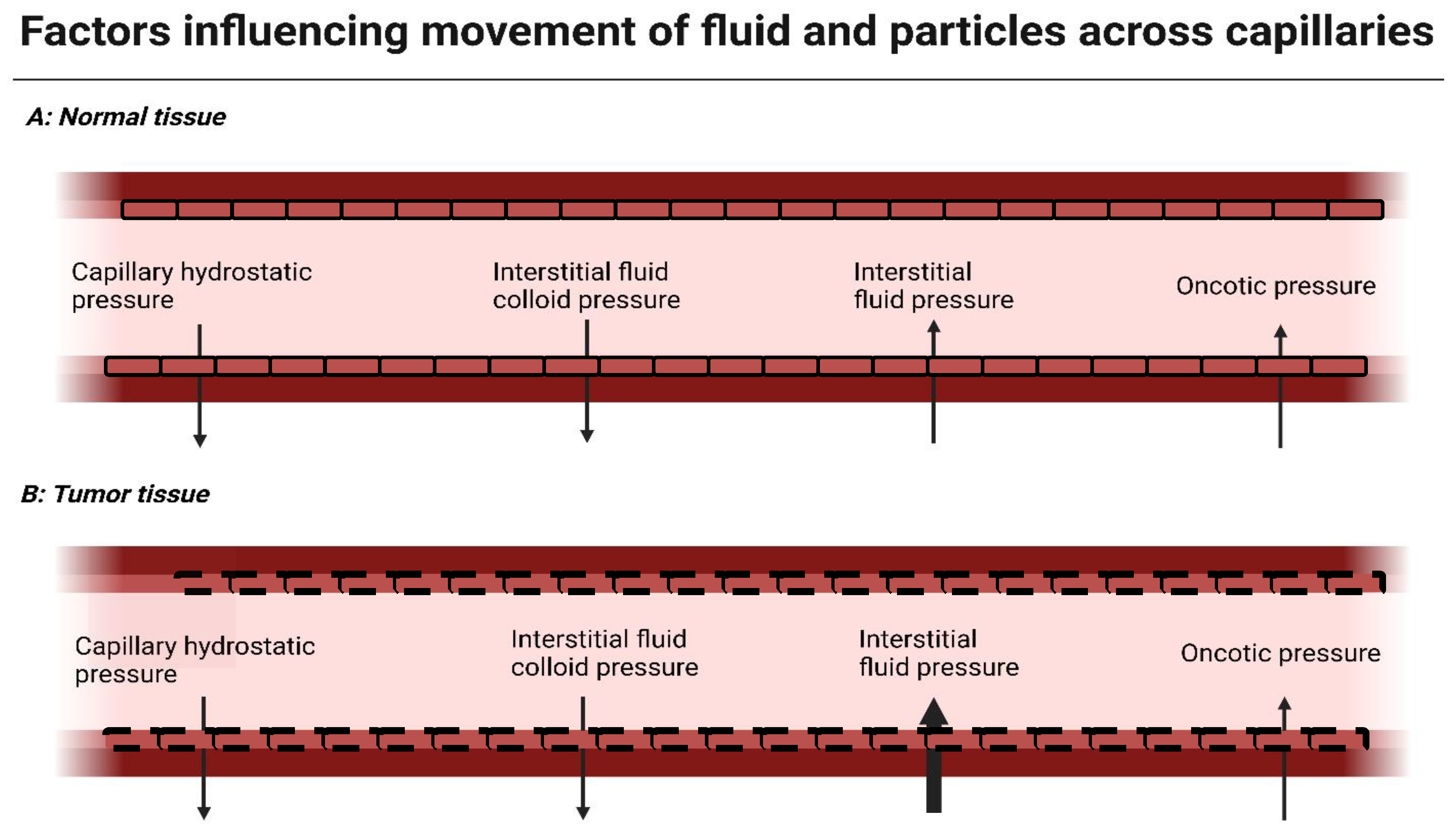 Surgeries 05 00007 g001