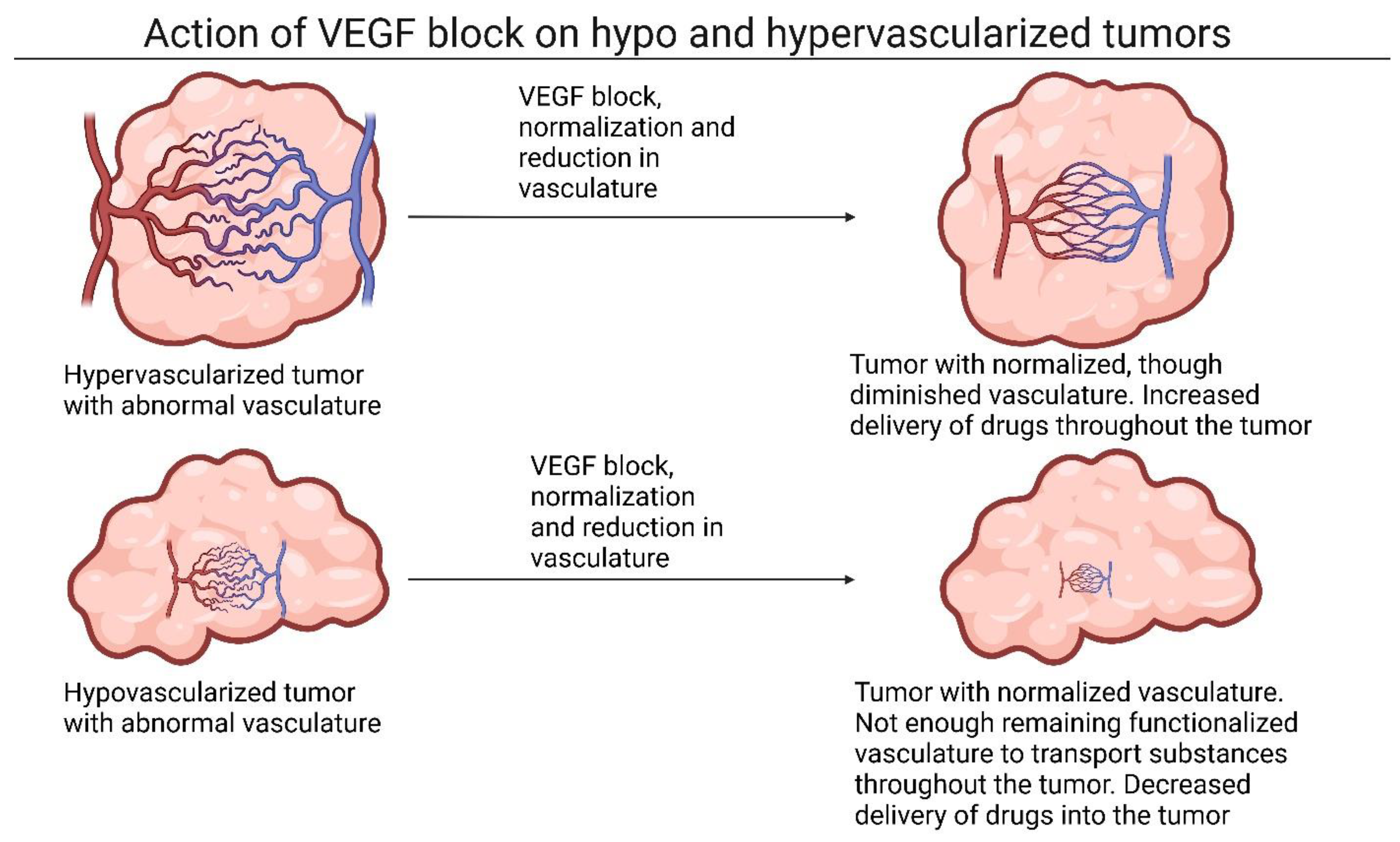 Surgeries 05 00007 g002