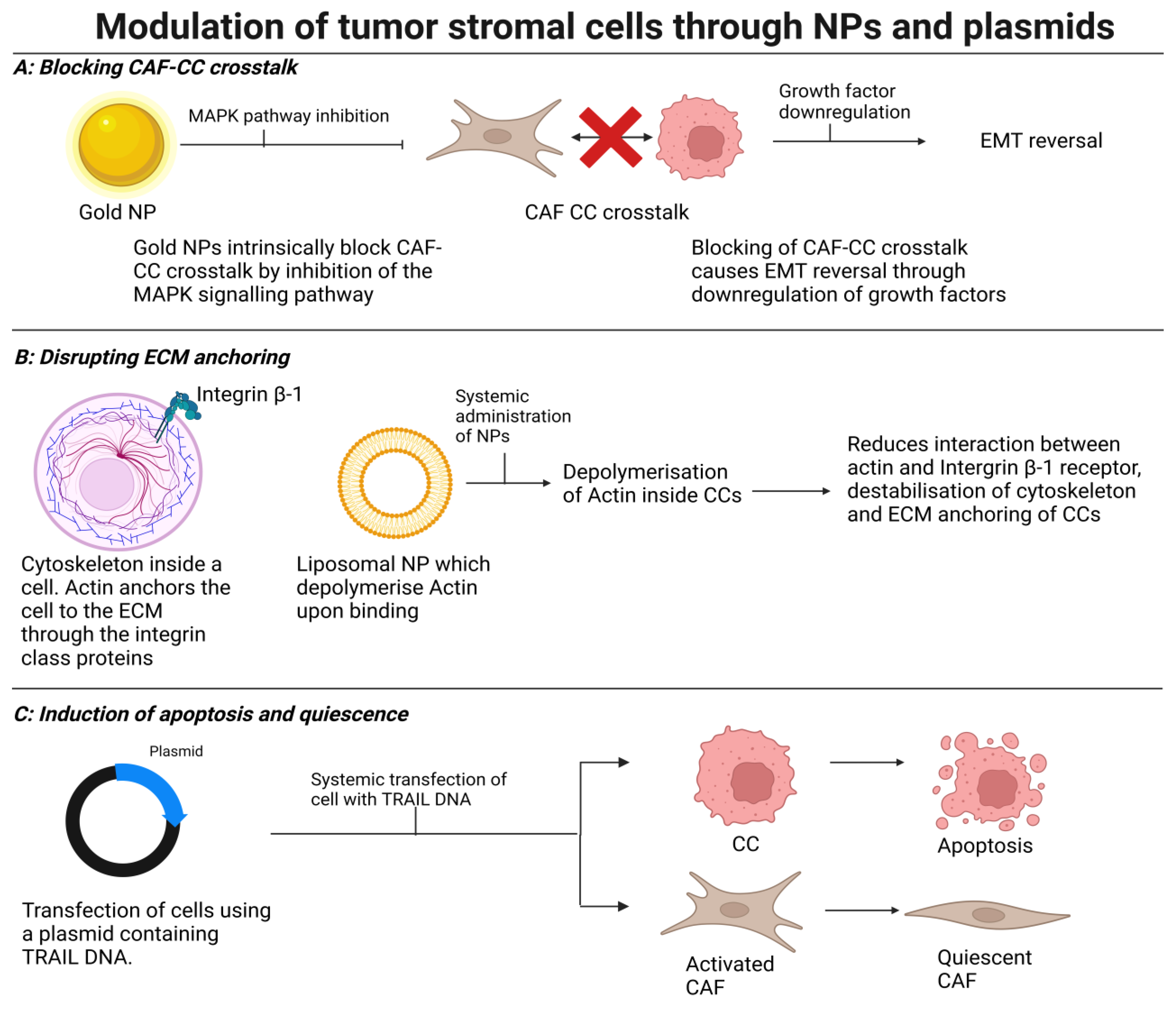Surgeries 05 00007 g004