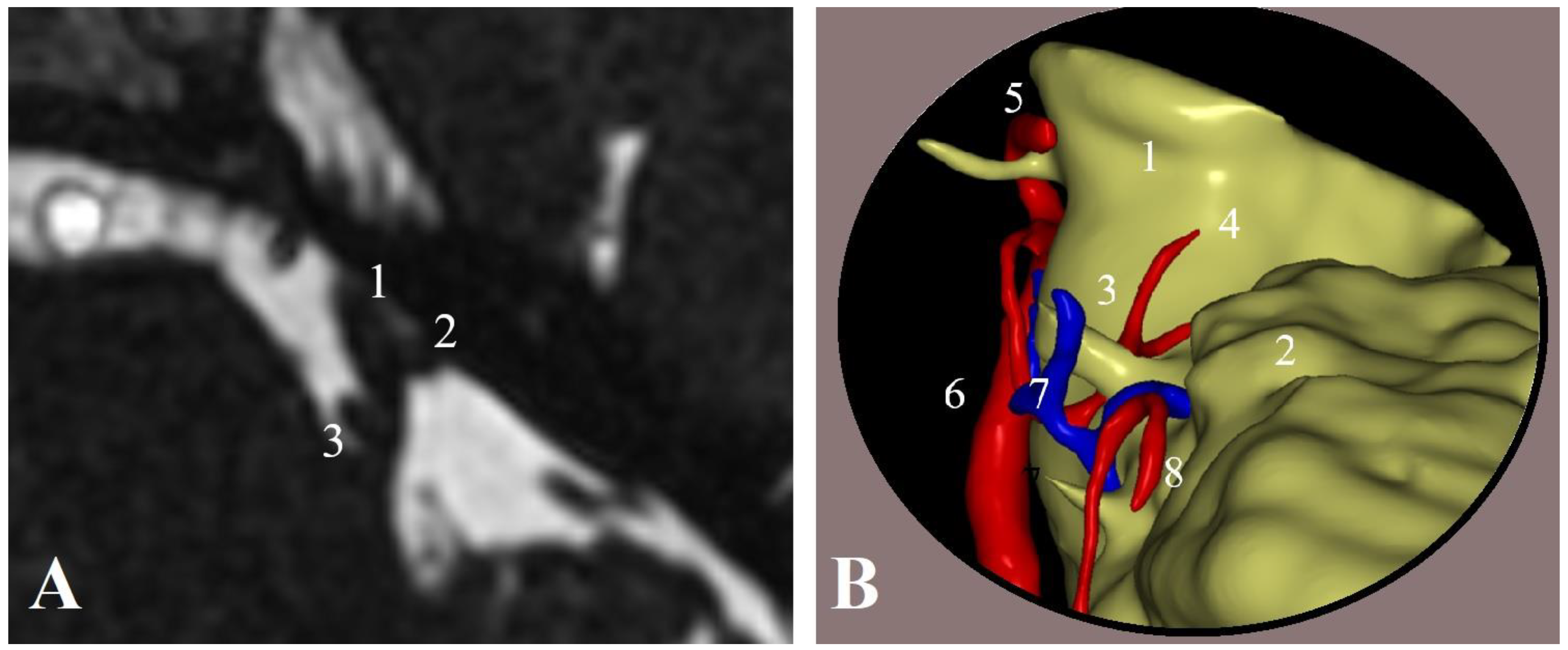 Surgeries 05 00017 g001