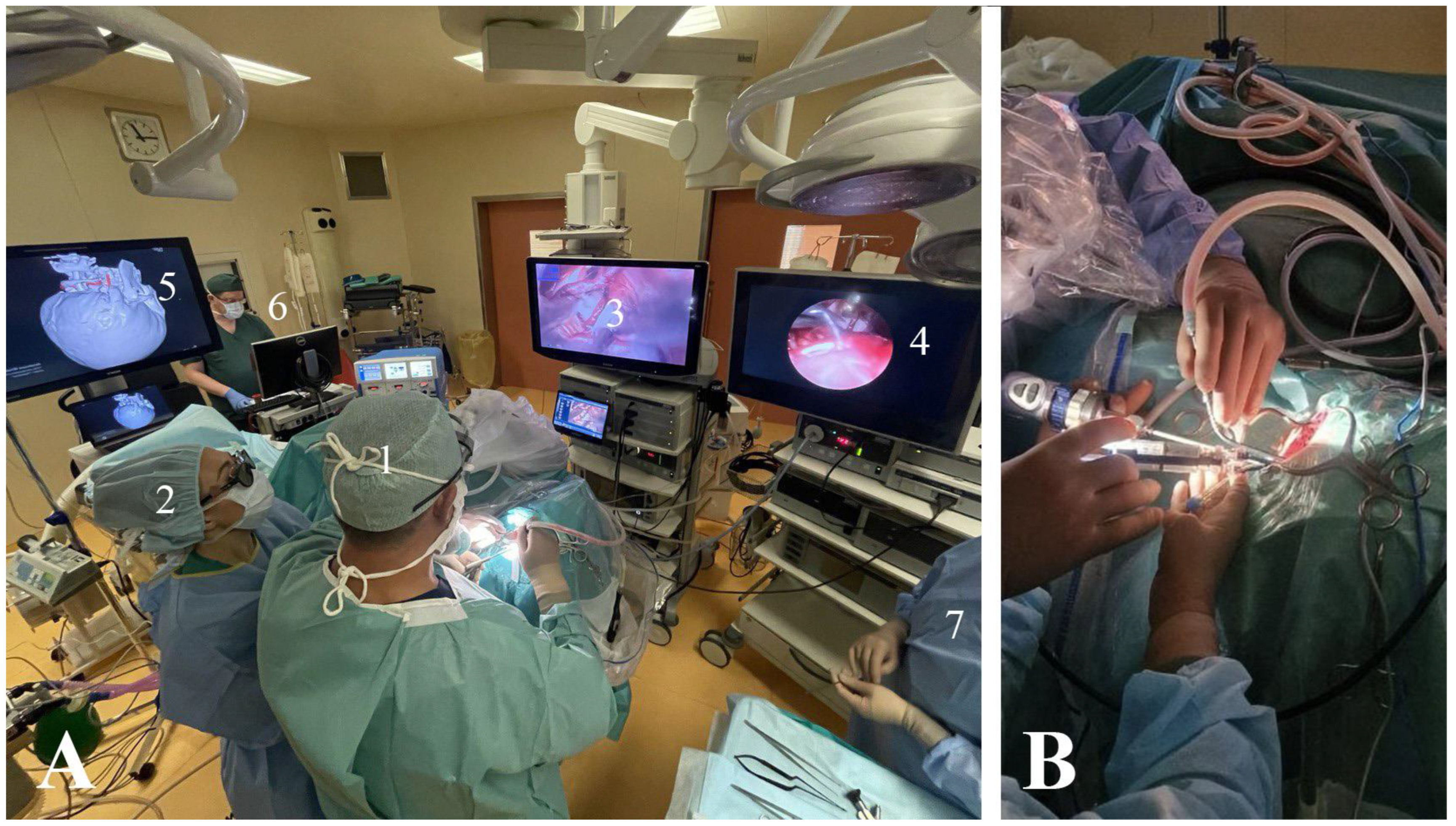 Surgeries 05 00017 g002