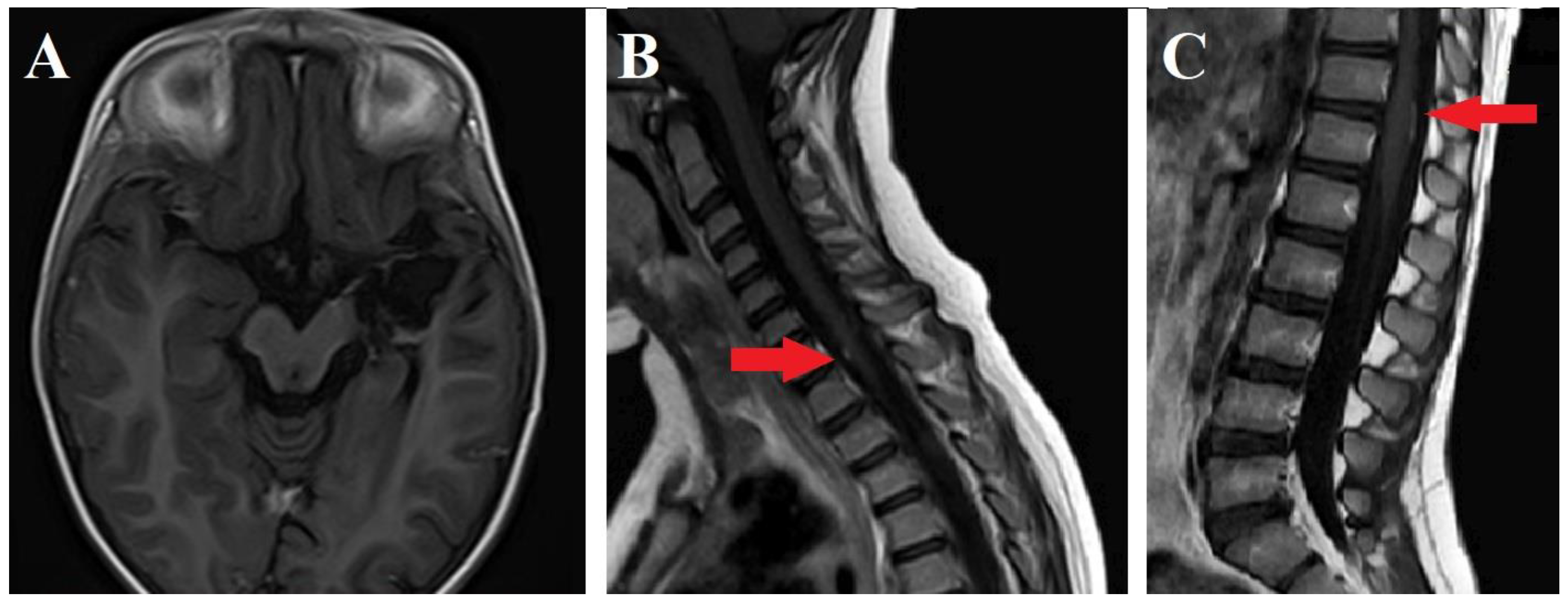 Surgeries 05 00018 g003