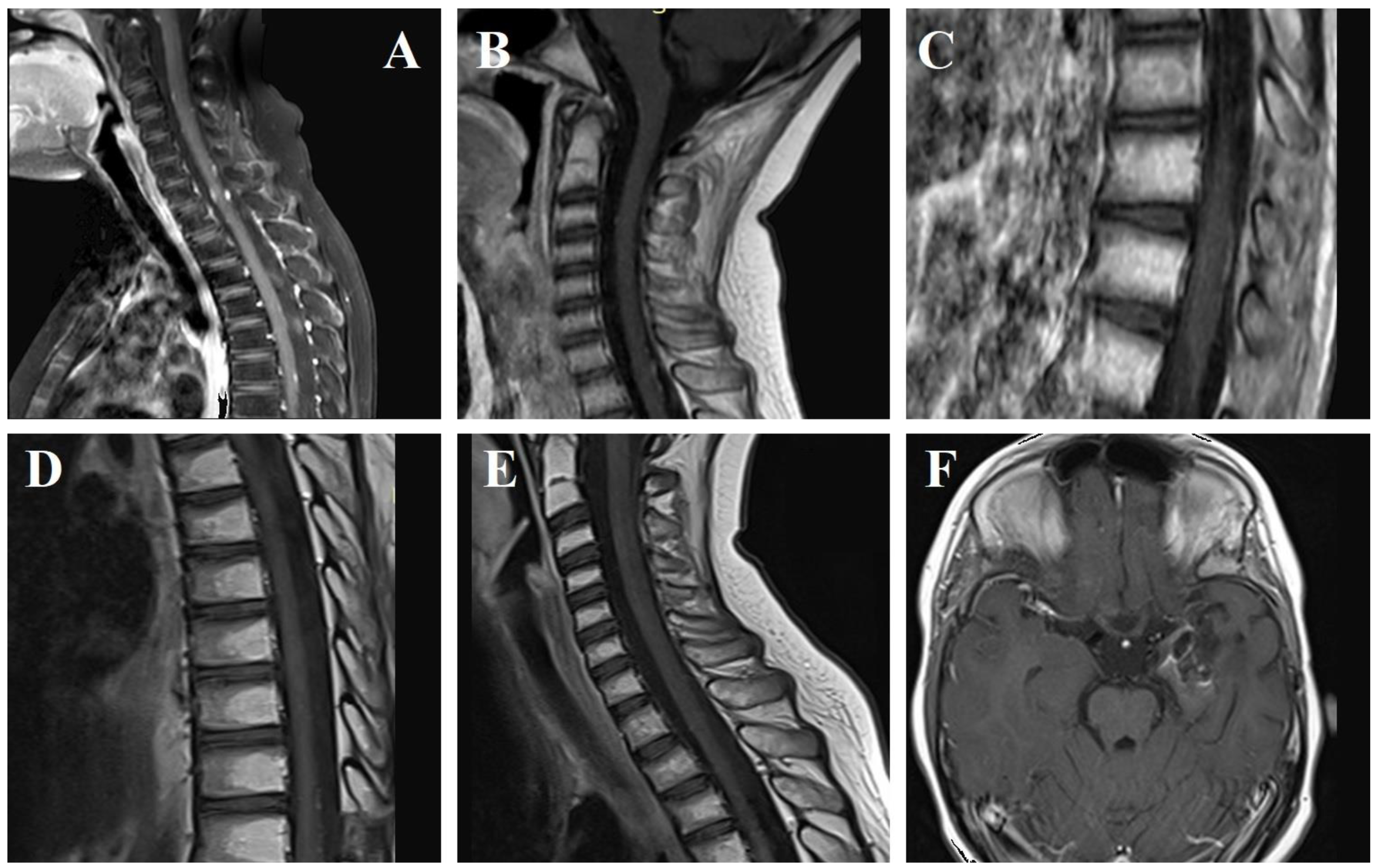 Surgeries 05 00018 g004