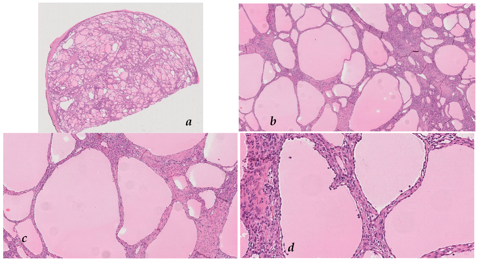 Surgeries 05 00034 g006