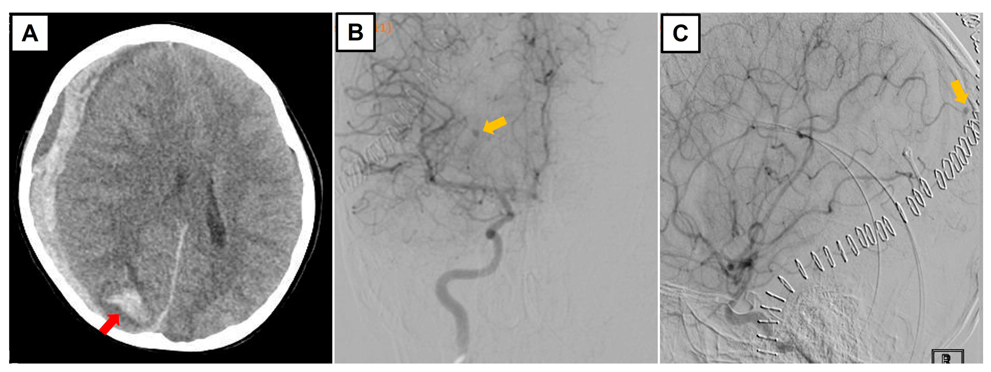 Surgeries 05 00036 g002