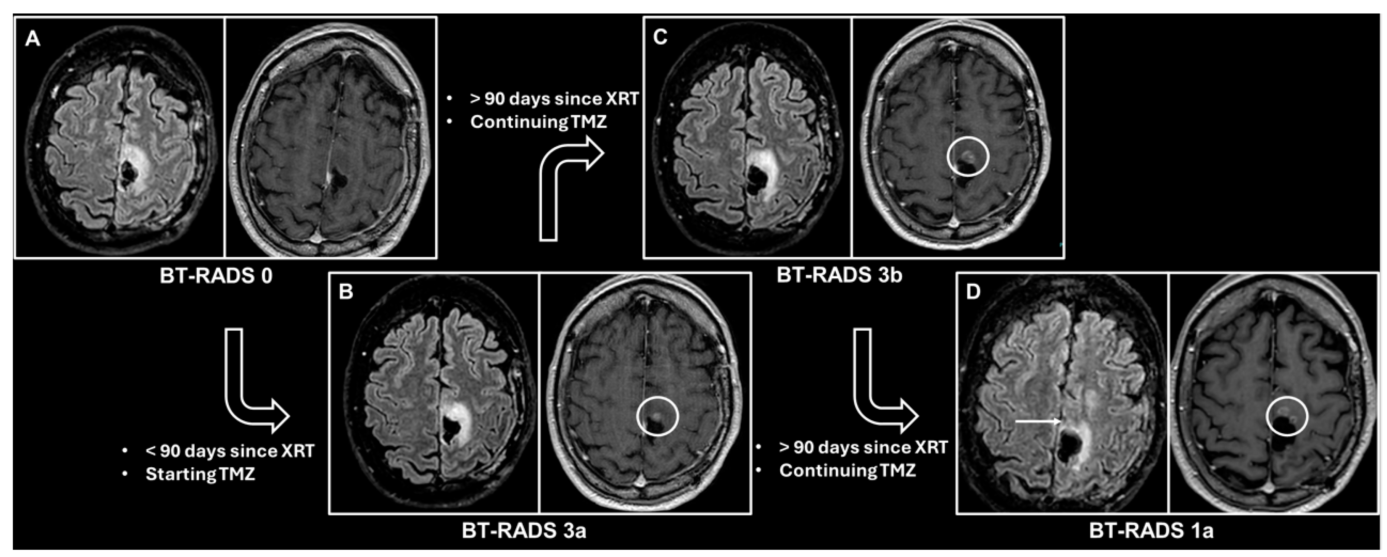 Surgeries 05 00061 g002