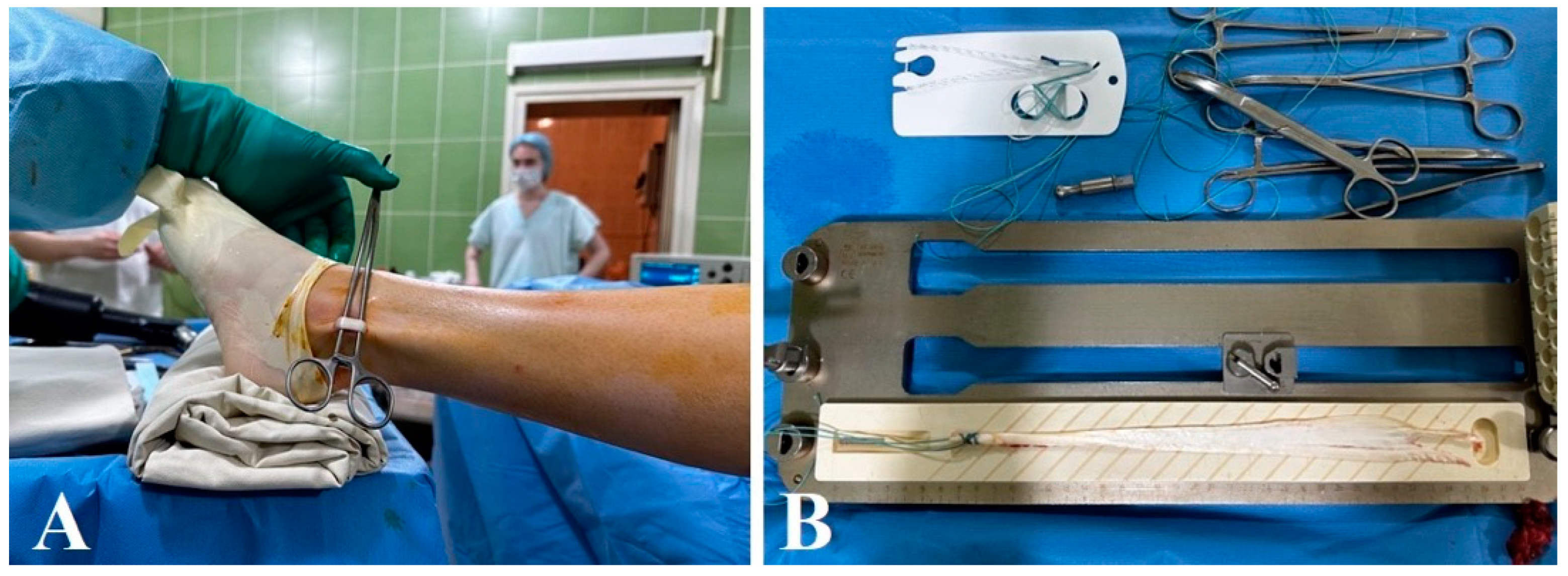 Surgeries 05 00063 g001