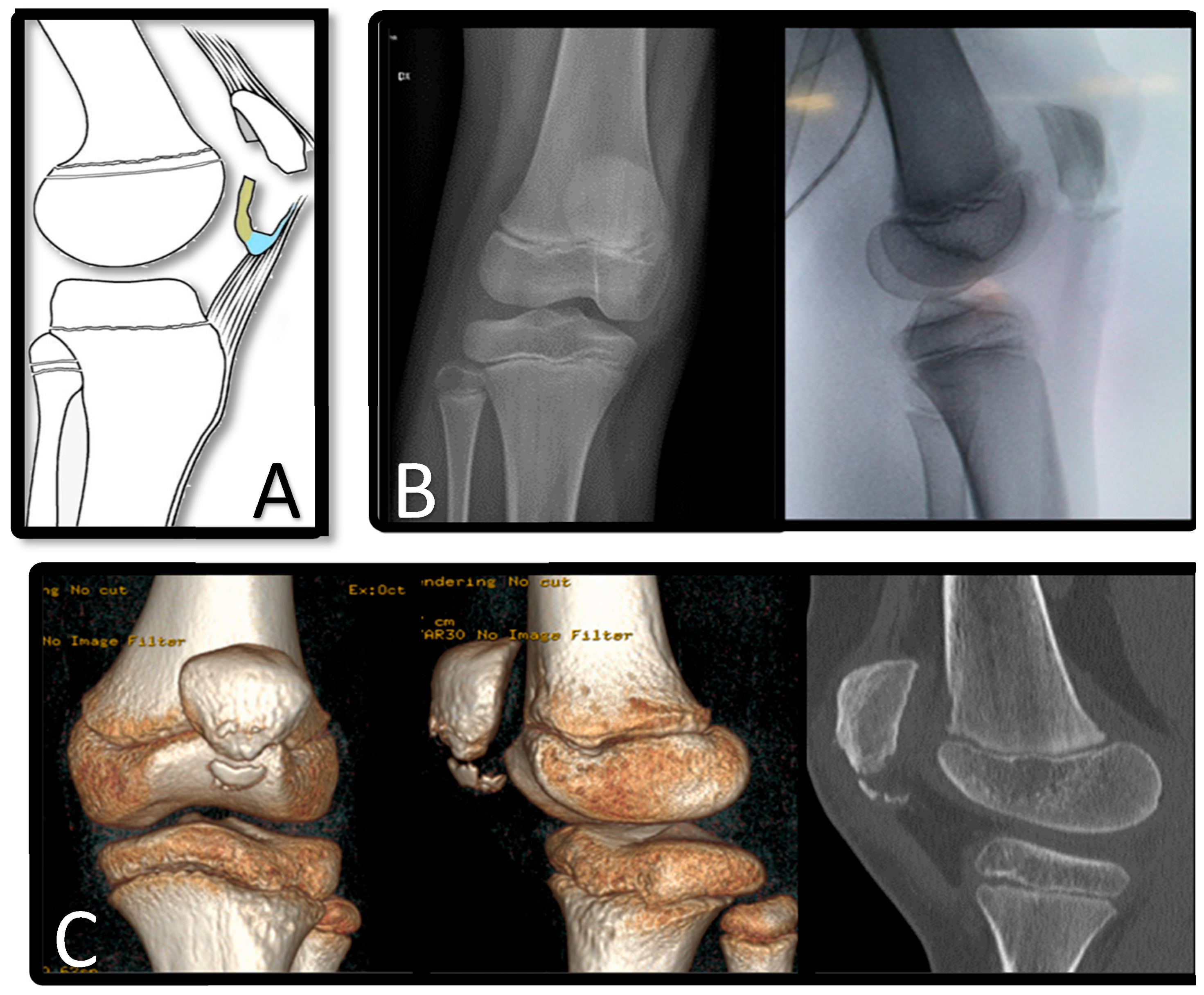 Surgeries 05 00067 g001