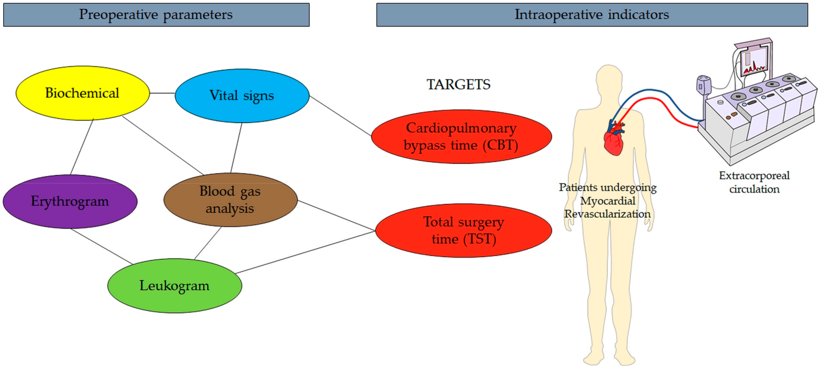 Surgeries 06 00001 g001