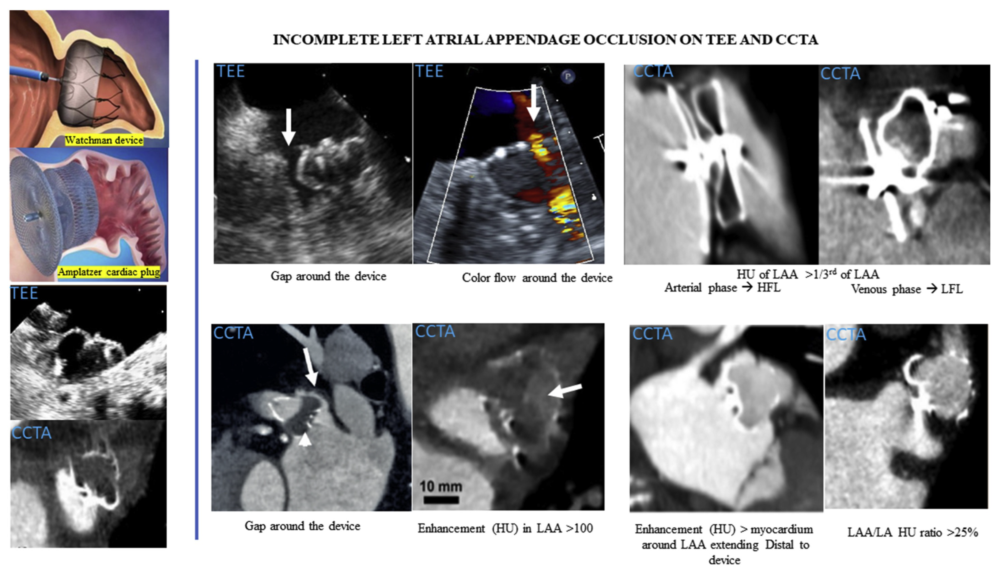 Surgeries 06 00015 g002