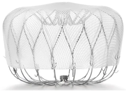 Surgeries 06 00015 i001