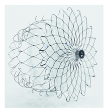 Surgeries 06 00015 i008