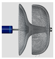 Surgeries 06 00015 i010