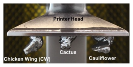 Surgeries 06 00015 i014