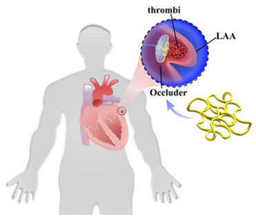 Surgeries 06 00015 i016