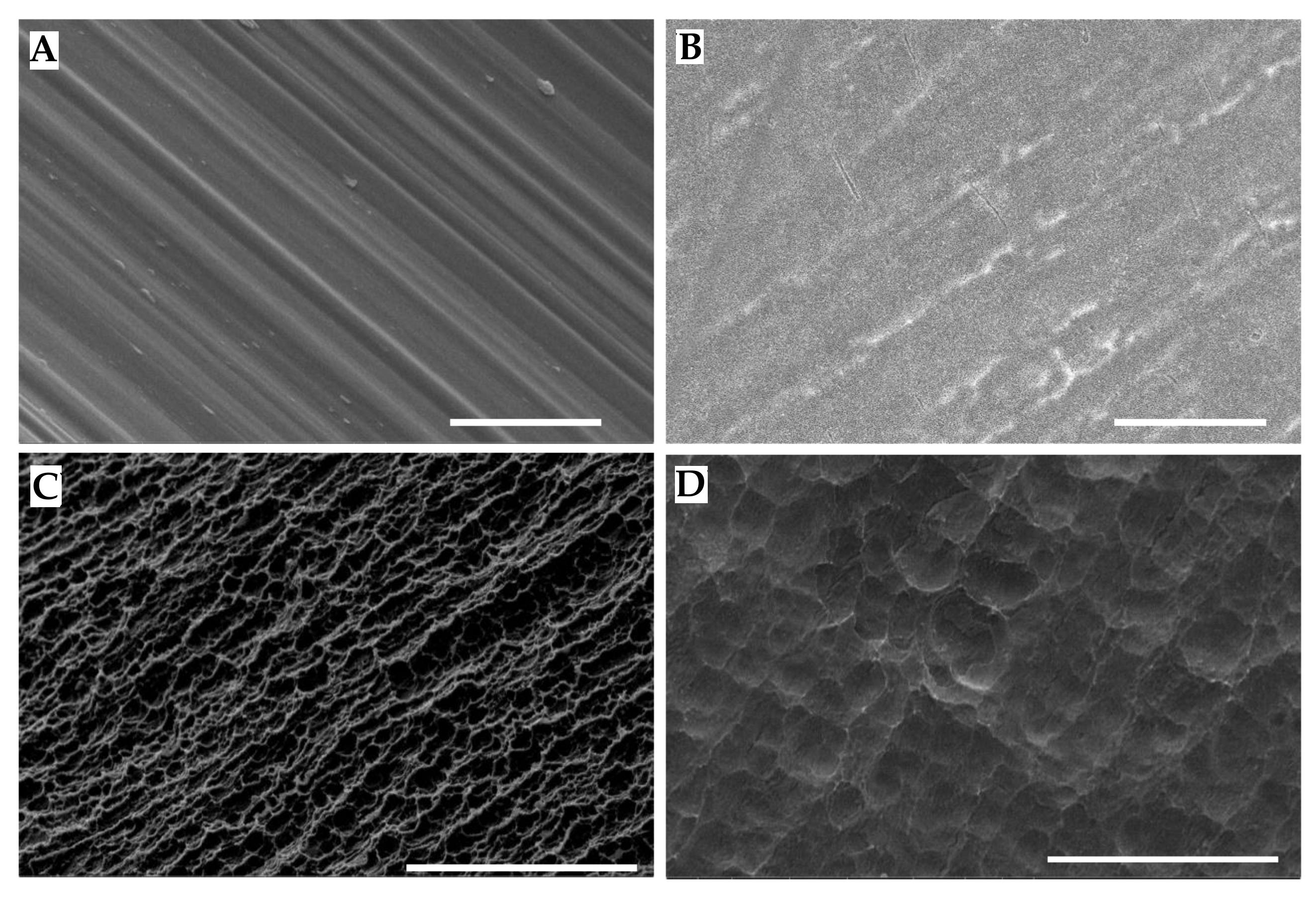 Surgeries 06 00036 g004