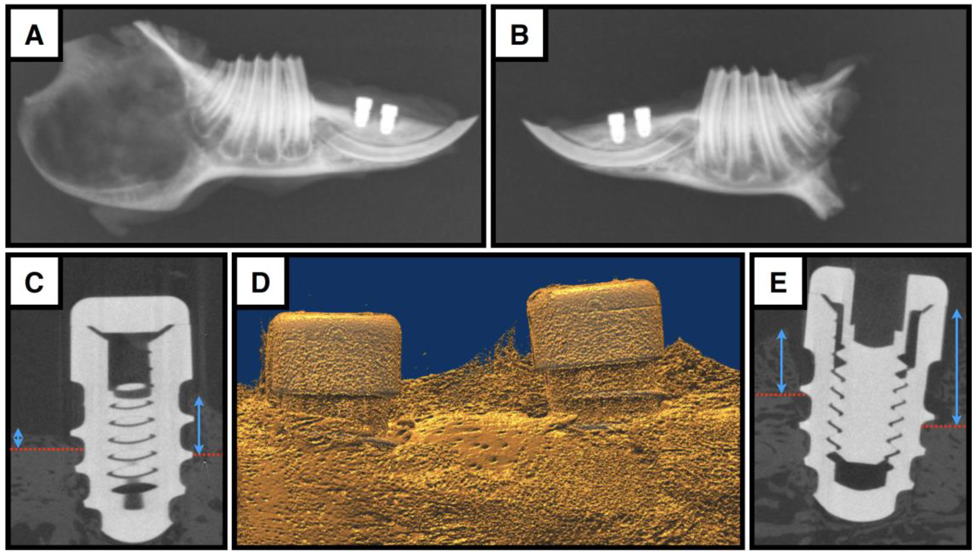 Surgeries 06 00036 g007