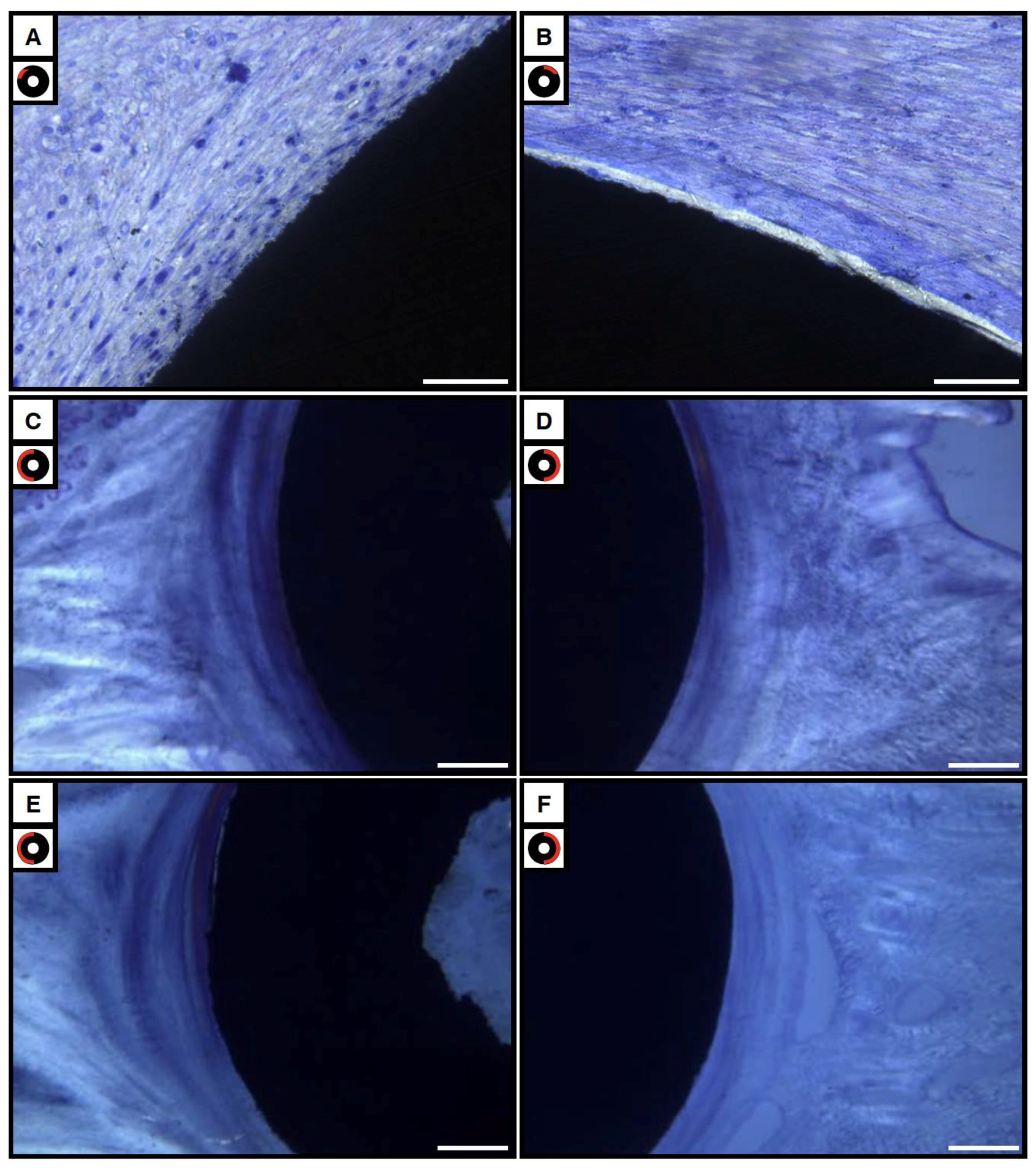 Surgeries 06 00036 g009