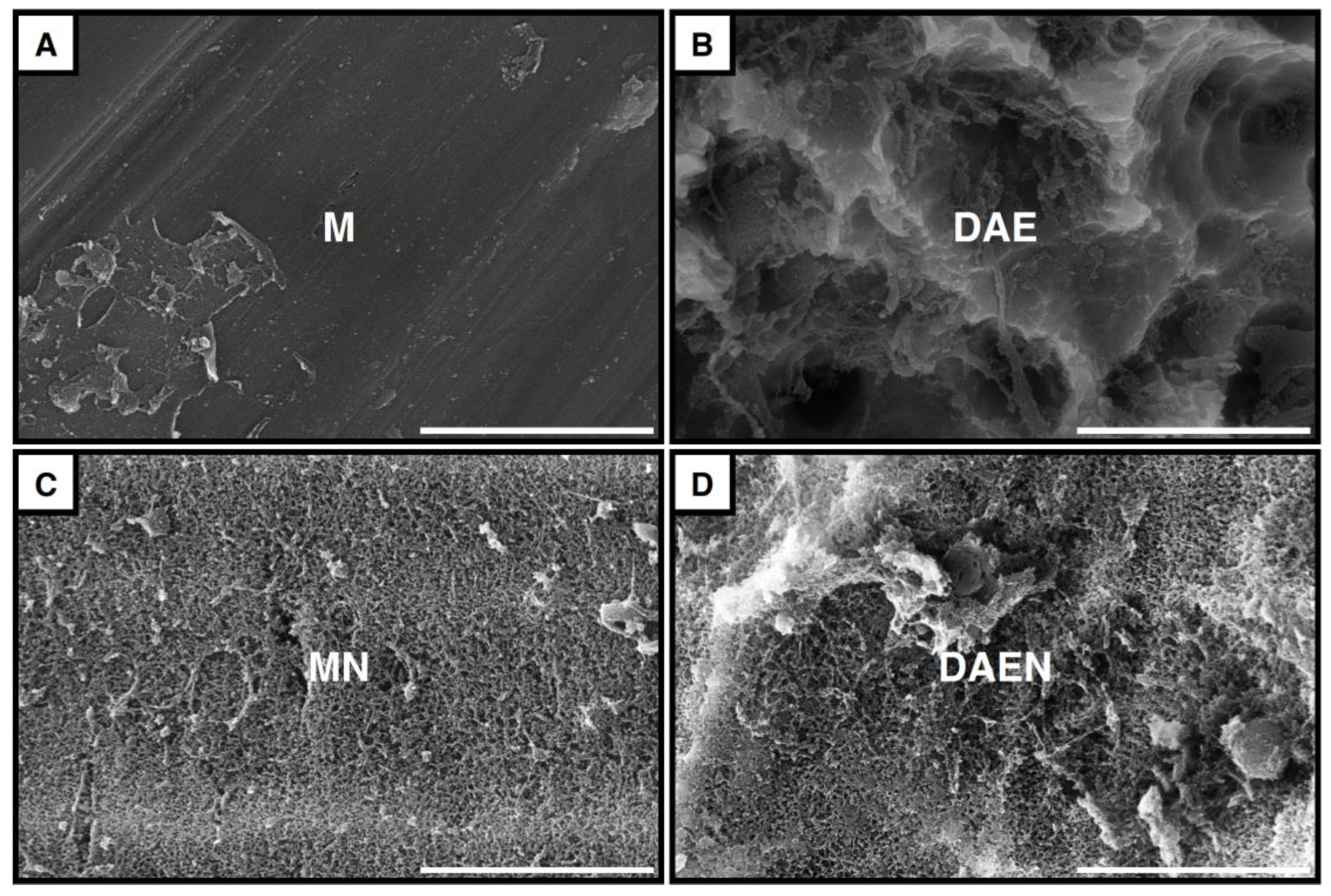 Surgeries 06 00036 g011