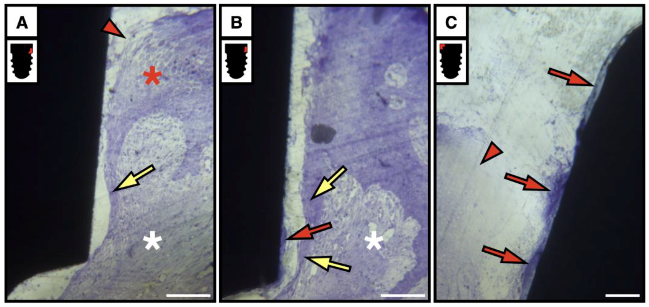 Surgeries 06 00036 g012