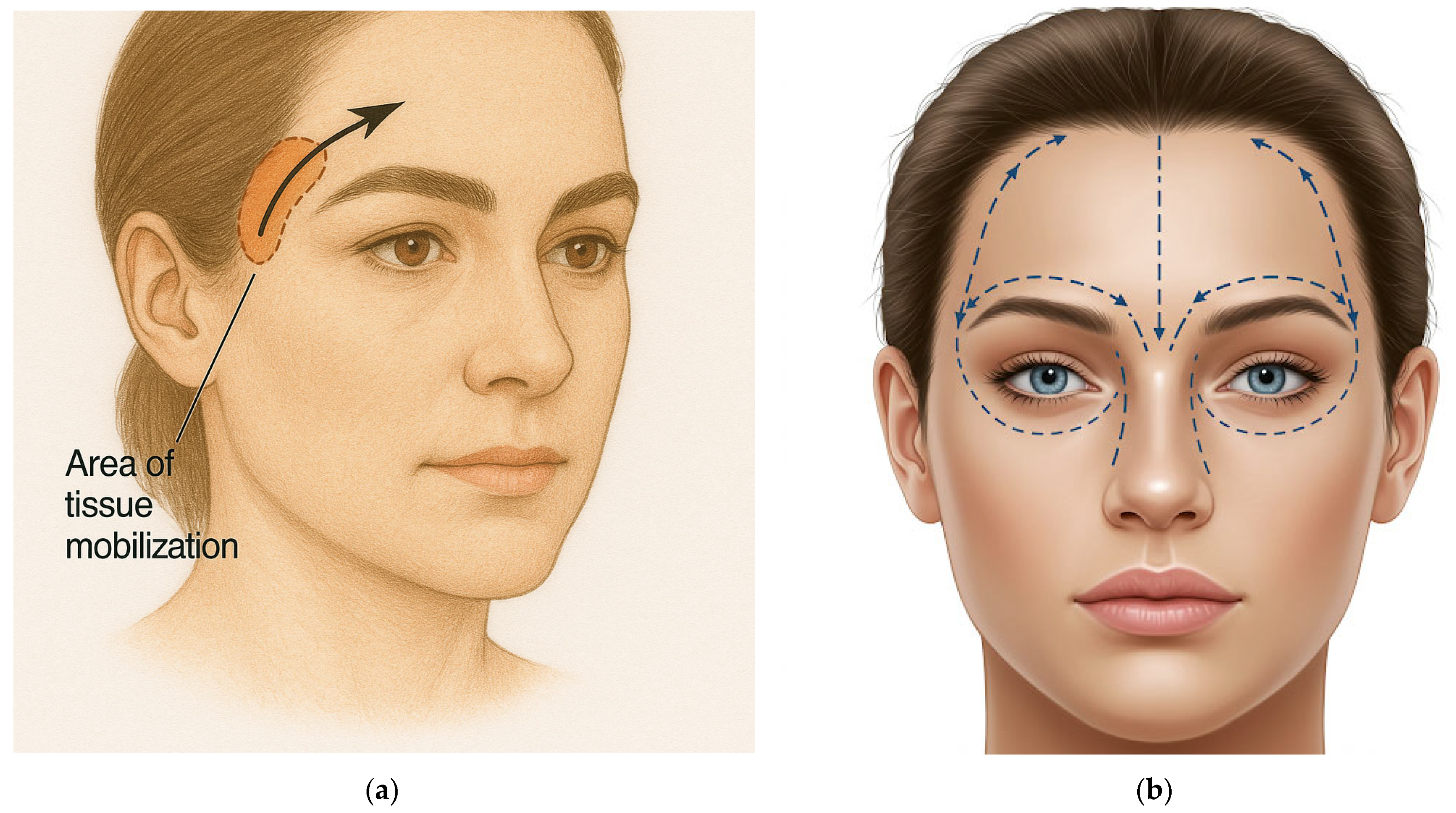 Surgeries 06 00051 g003